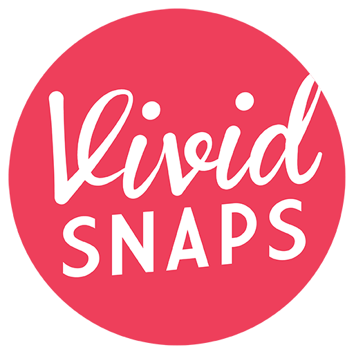 Vivid Snaps LLP
