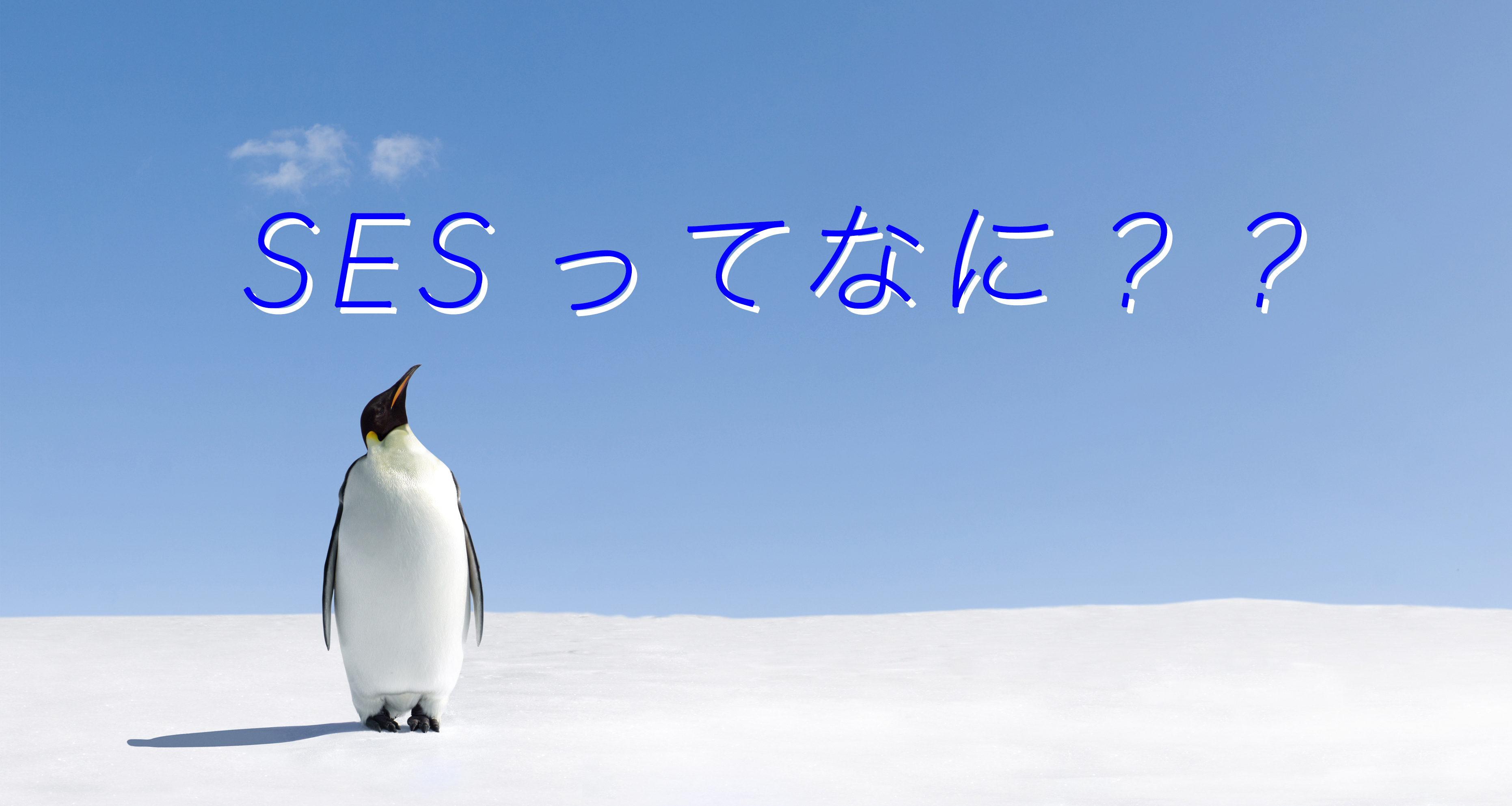 いまさら聞けない「SES」ってなんだ！？