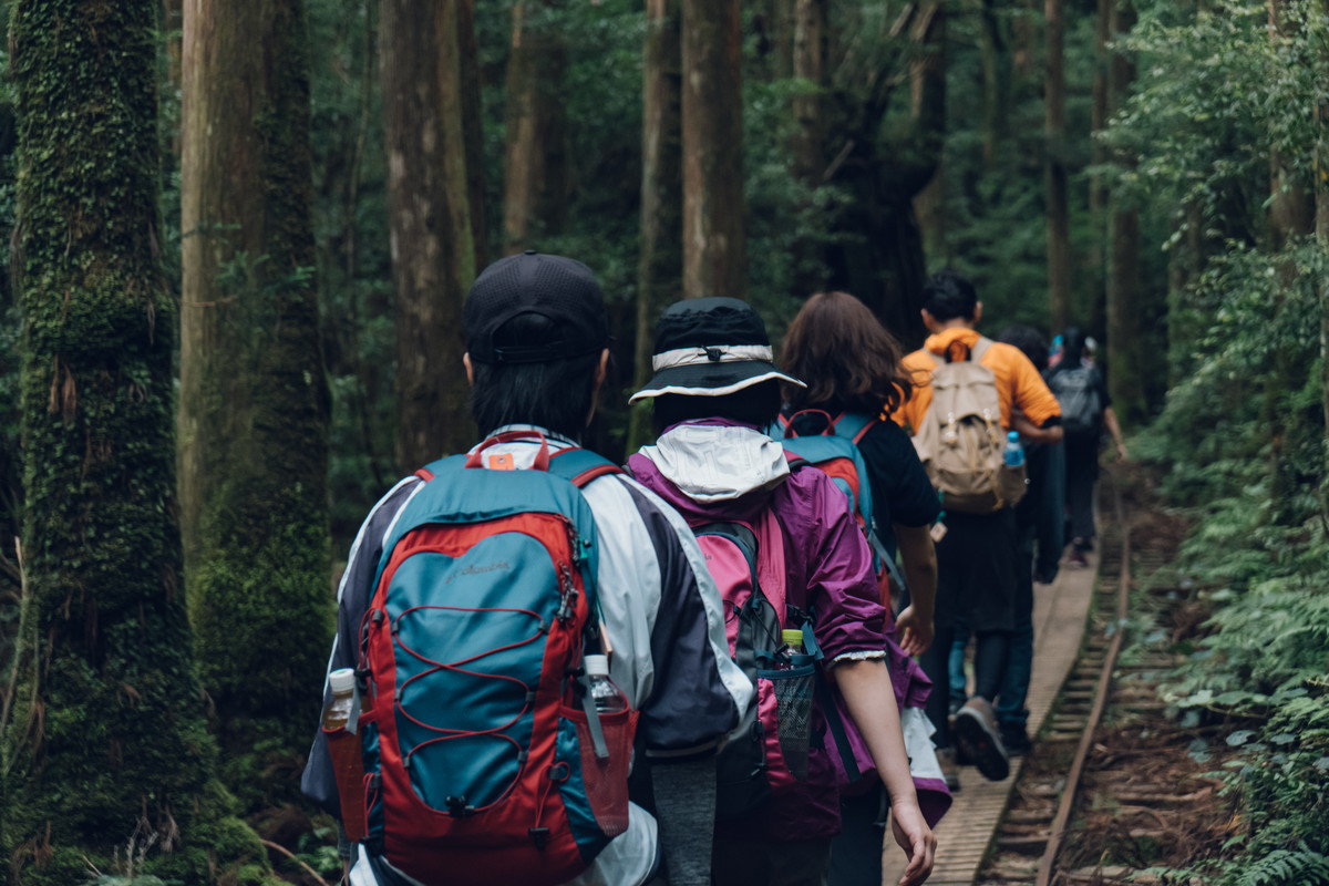 自分の目で見て感じで学べ！海に潜り、山を登るアネシス名物【屋久島研修】に潜入