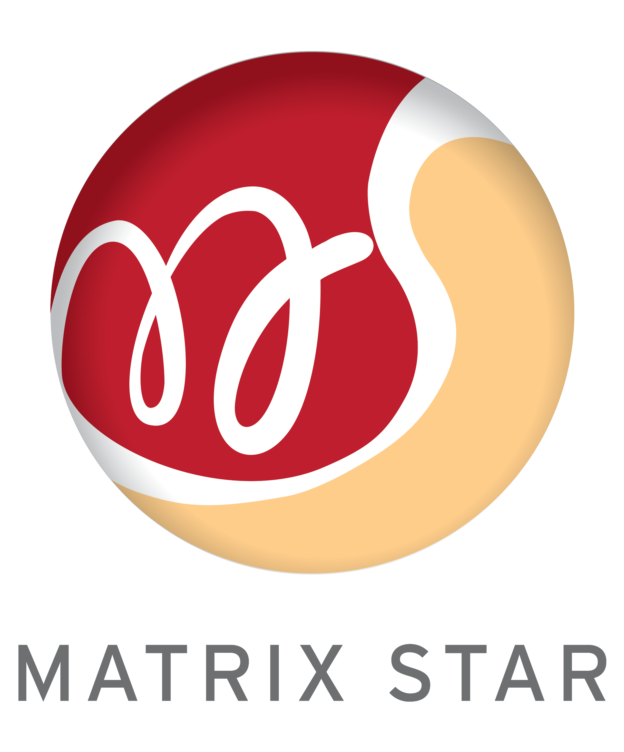 Matrix Star Marketing Pte Ltd