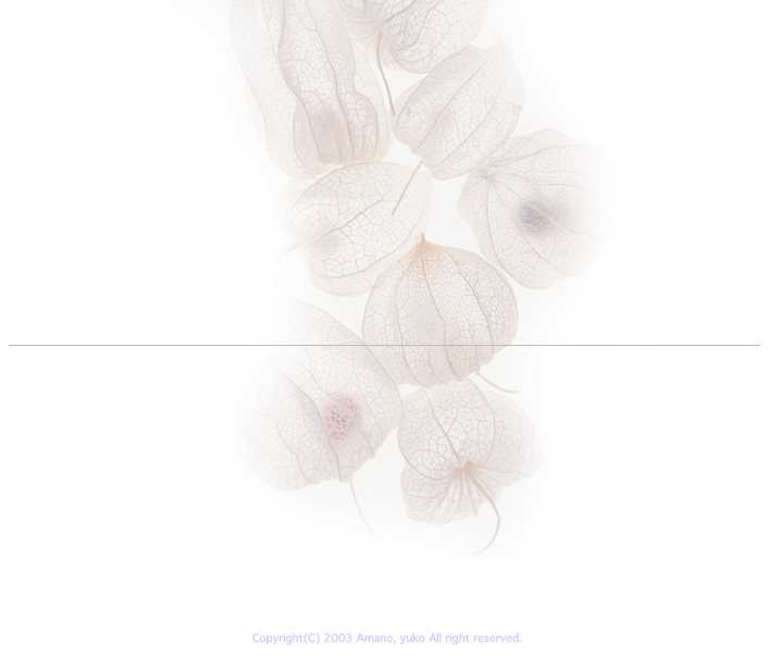 株式会社eauscript