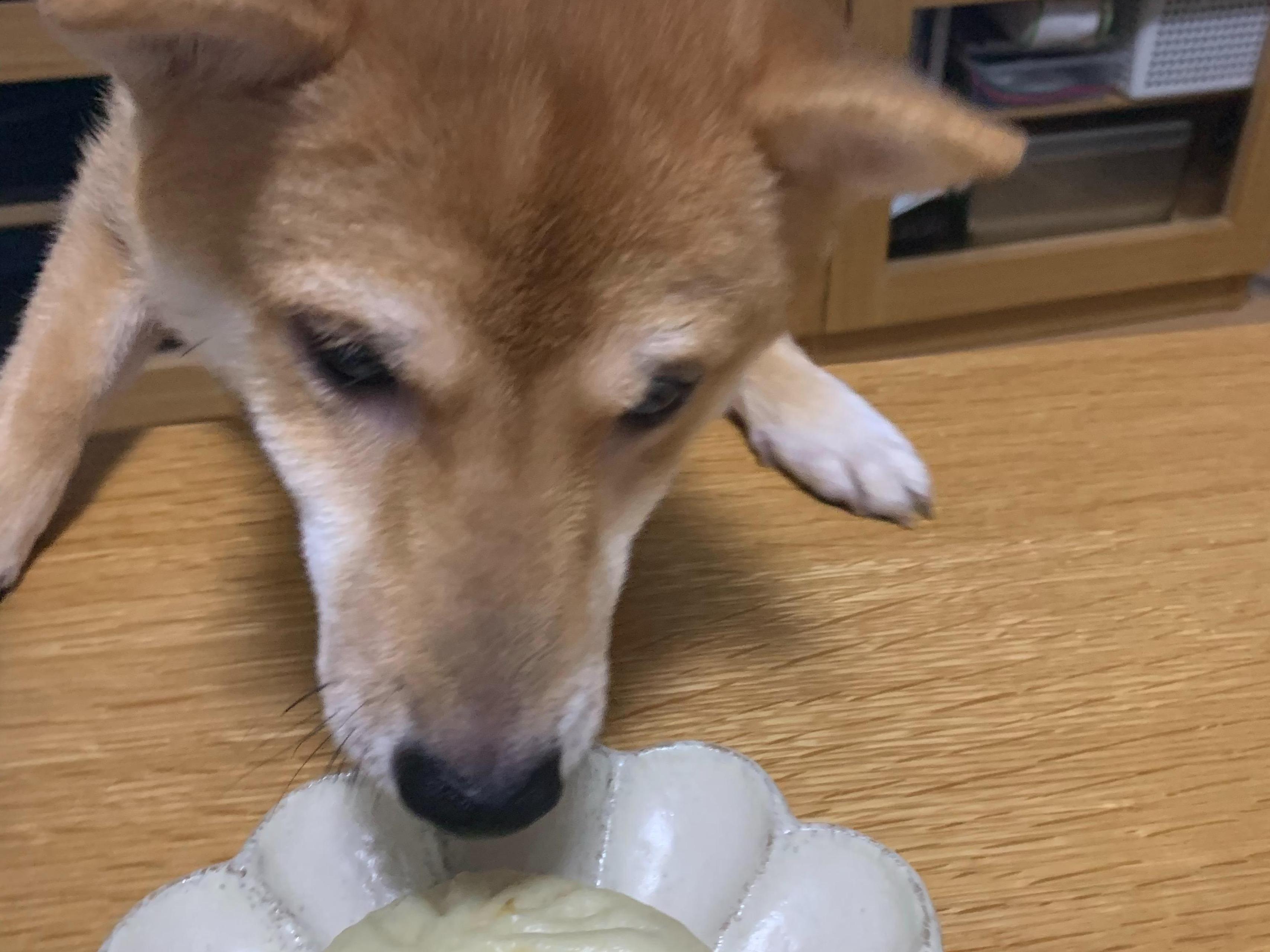 四方漱一２６歳です