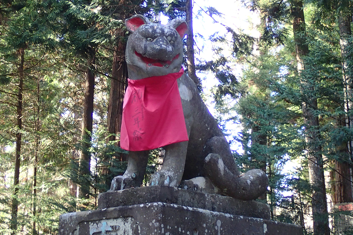 フェンリル大人の課外学習 日本でのオオカミ研究の第一人者 角田裕志さんにお会いしてきた話 フェンリル