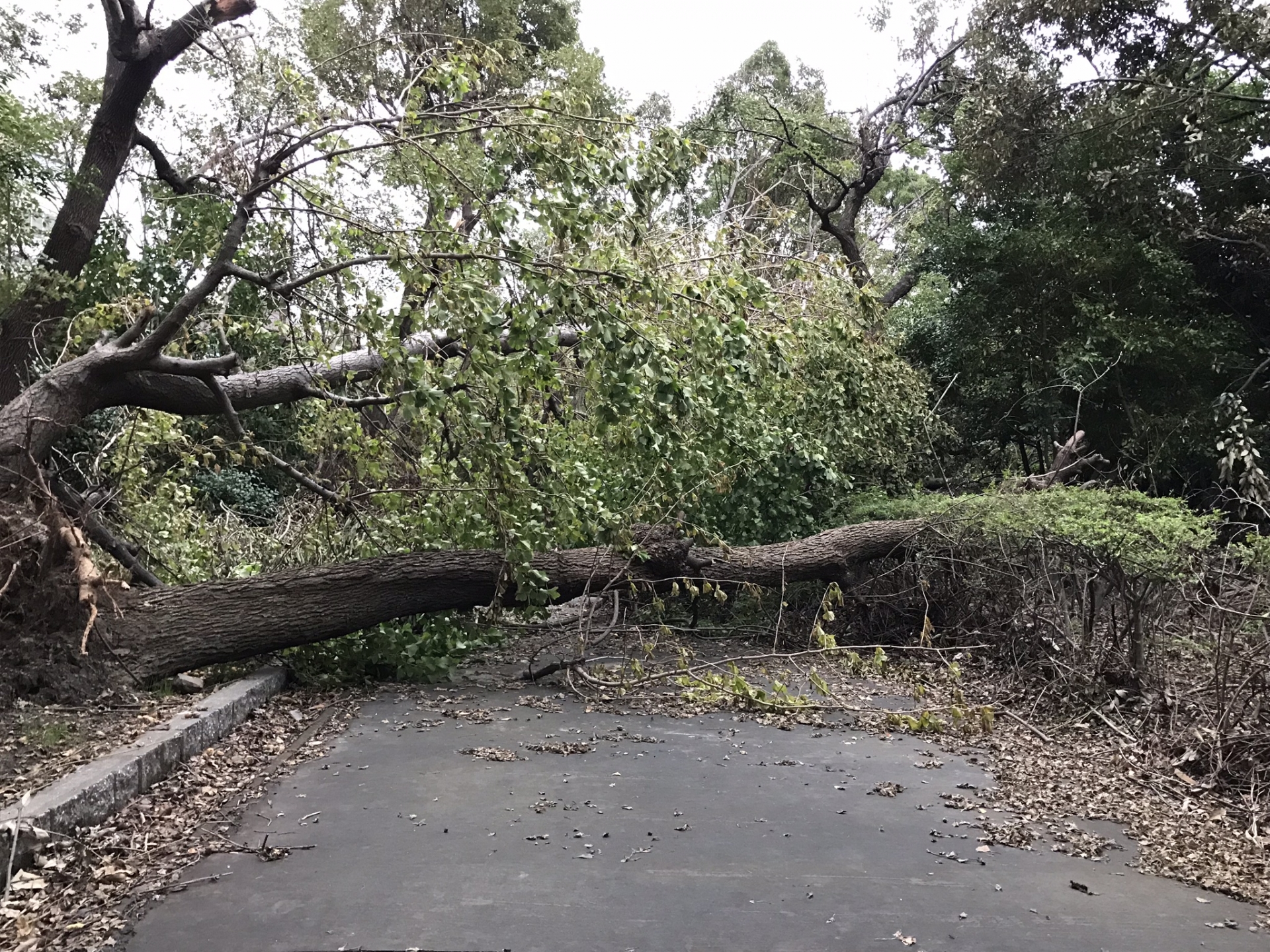 「ご近所SNS」を活用した、新しい形での災害時の助け合い