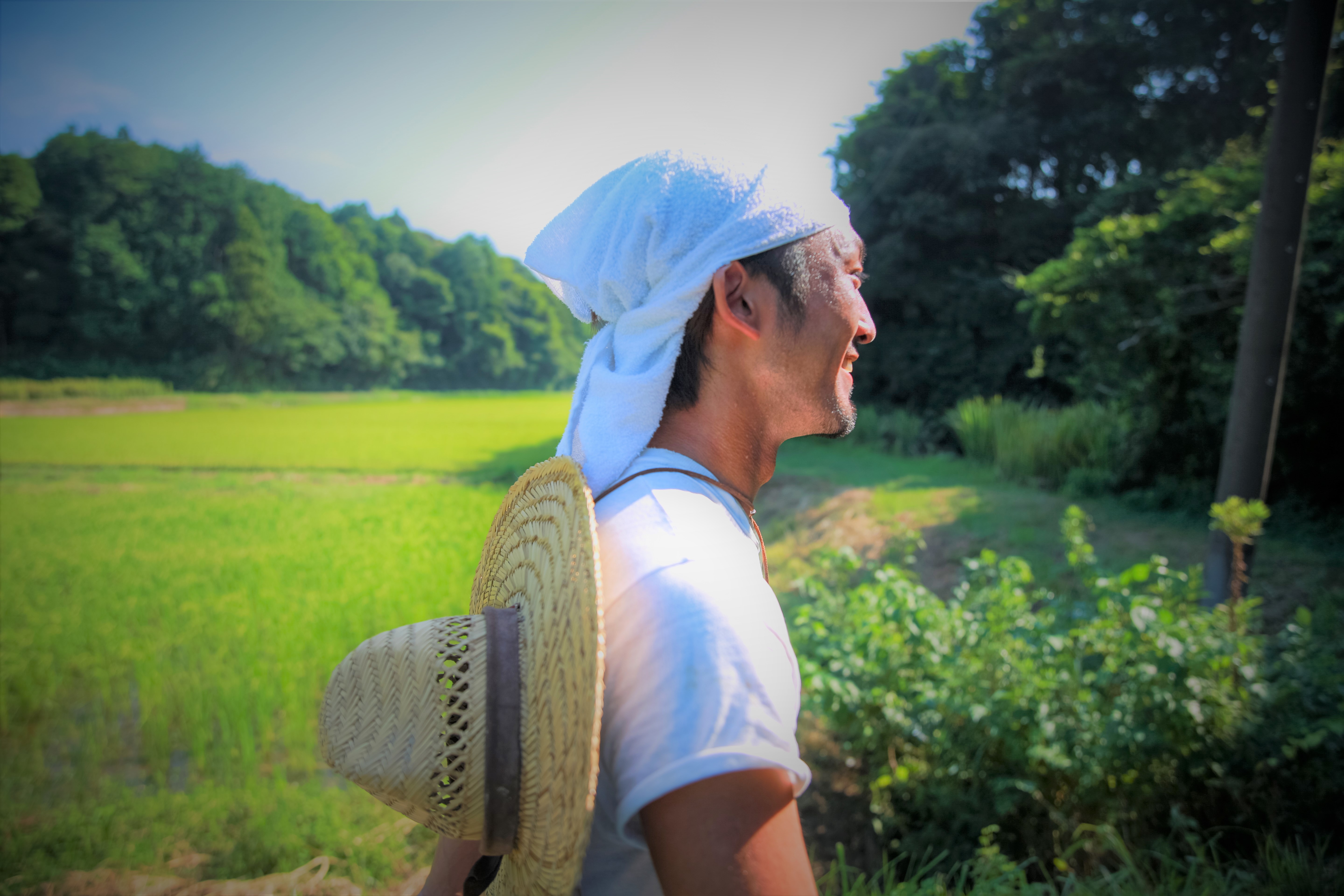 田んぼはいいぜ。