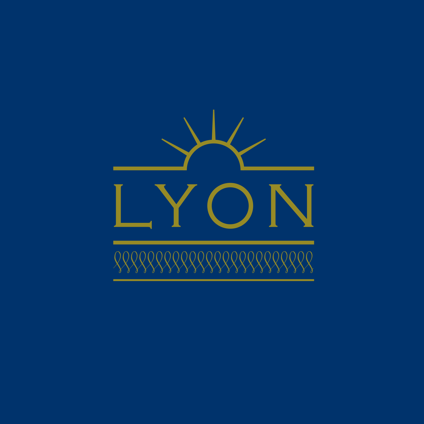株式会社ph  Lyon hair & makeup