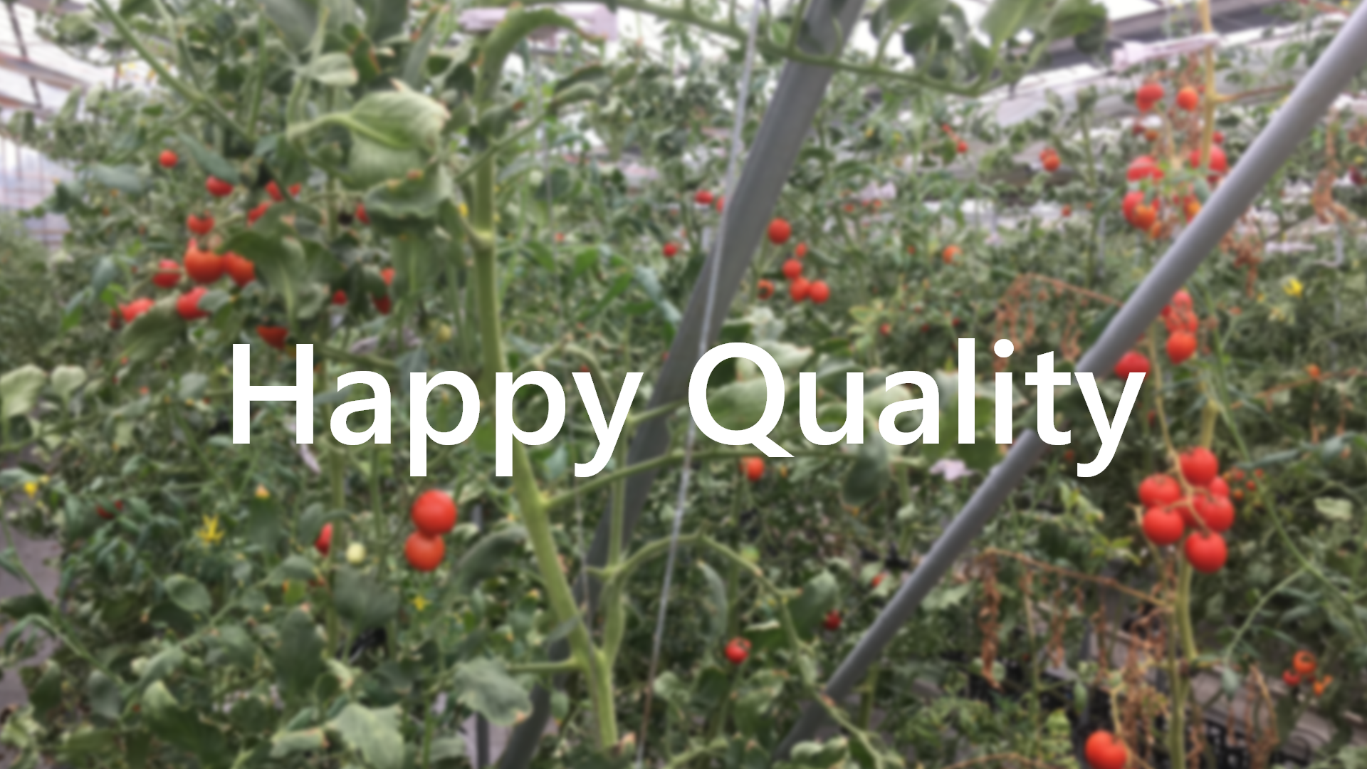 最新の農業から学んだこと~HappyQualityを訪問して~