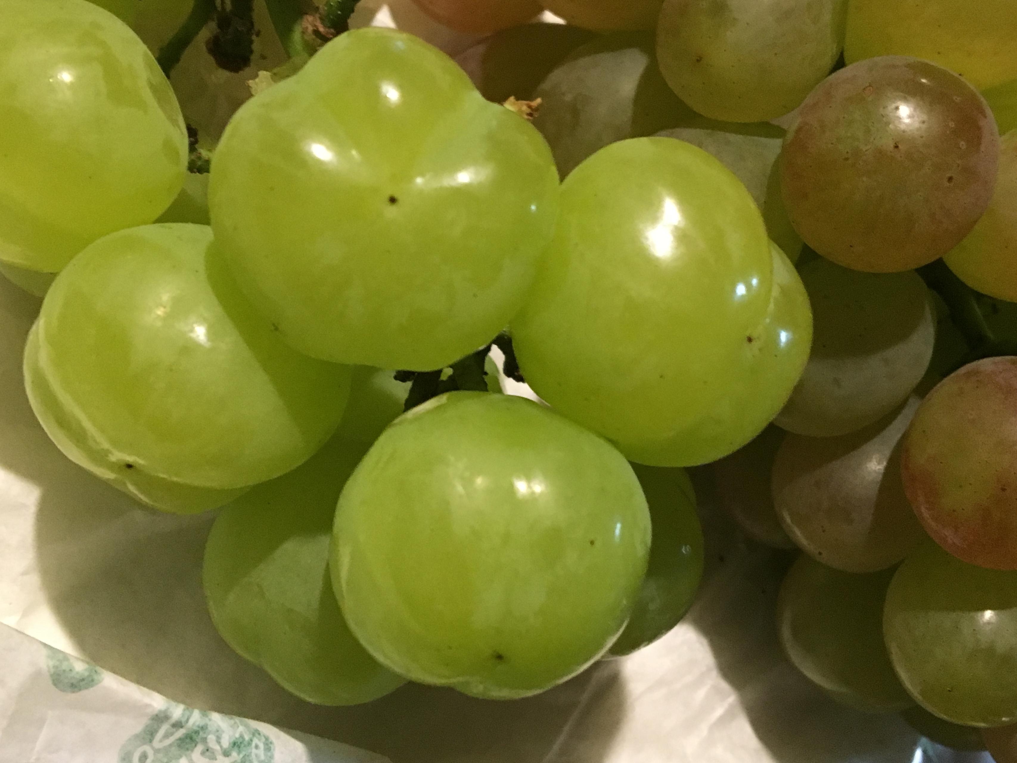 食品の流通と日本の生産者