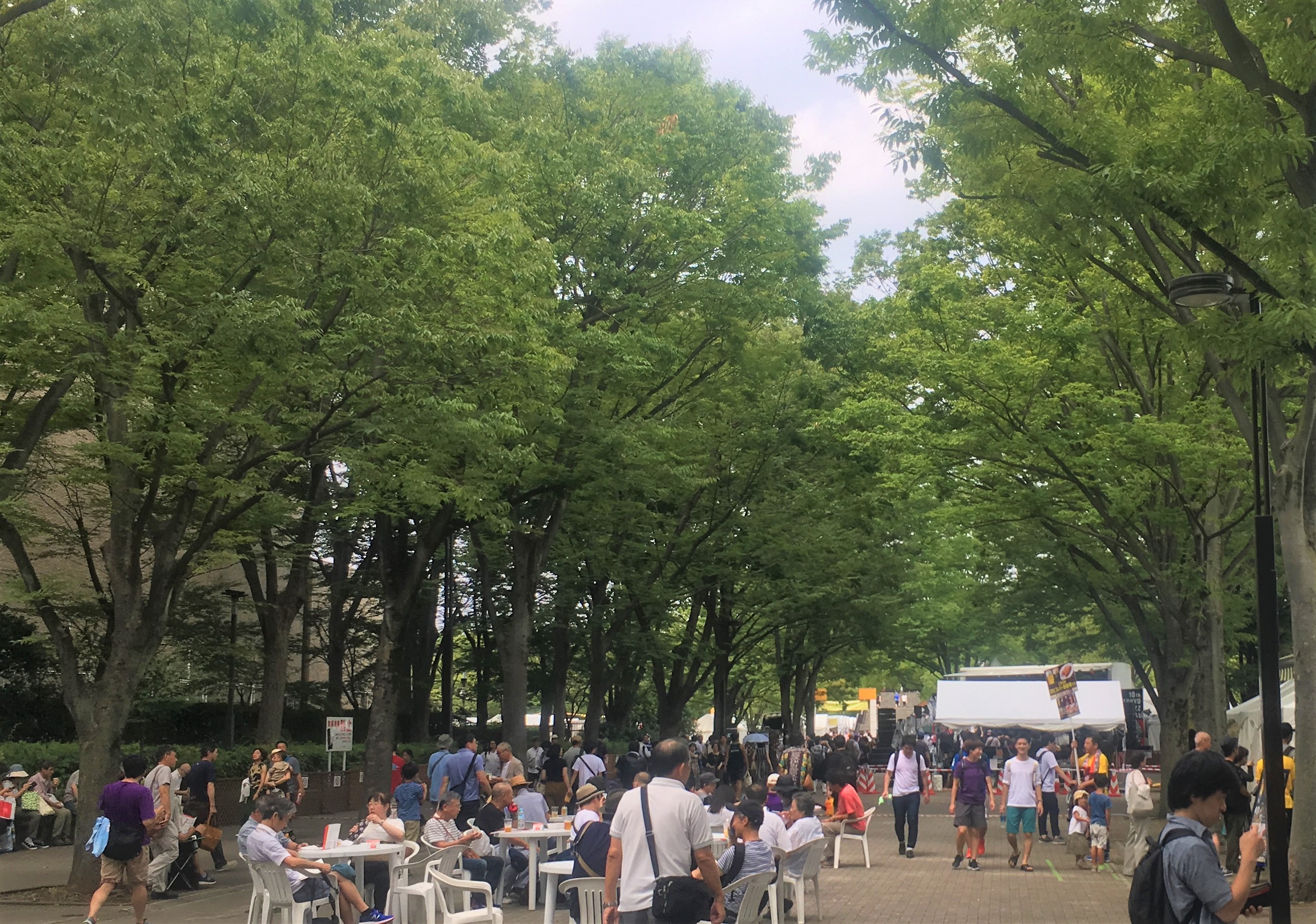 メンバーの出演する野外イベントに行ってみた