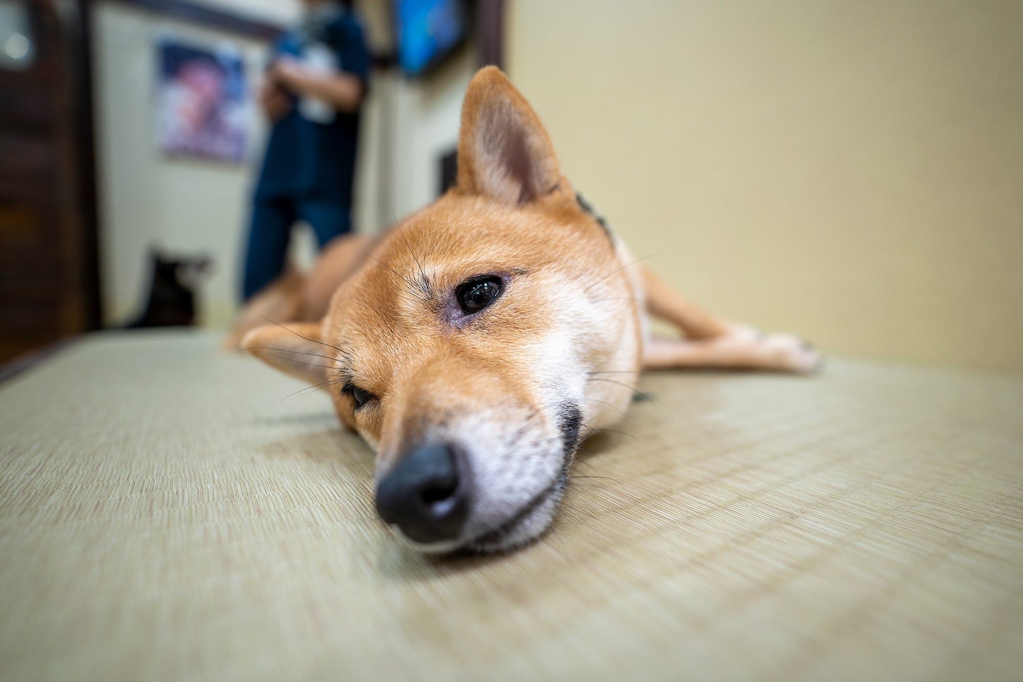 インターネットで集客