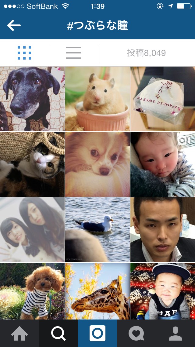 アルフレッドコンサルティング