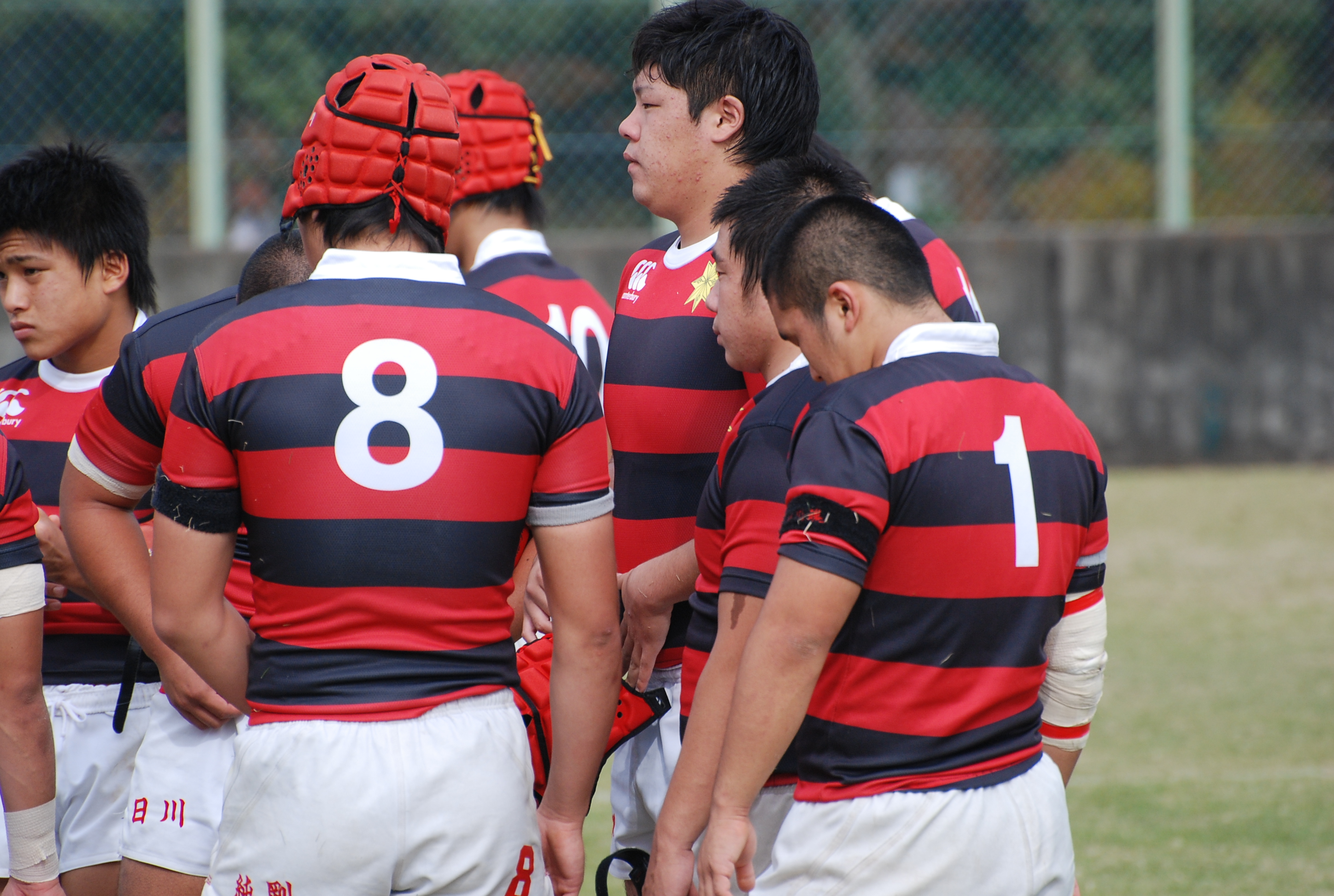 作詞してみました。タイトルは『恋愛感情』