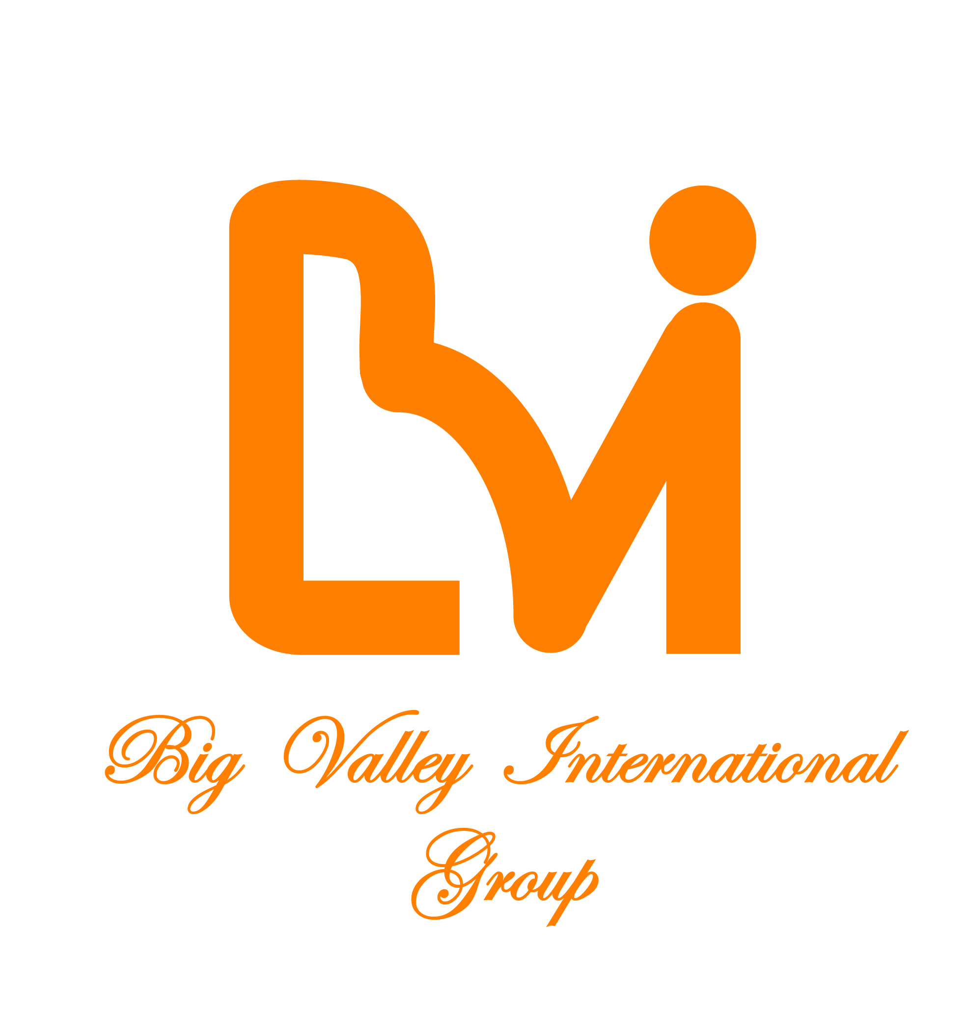 株式会社BigValleyInternational
