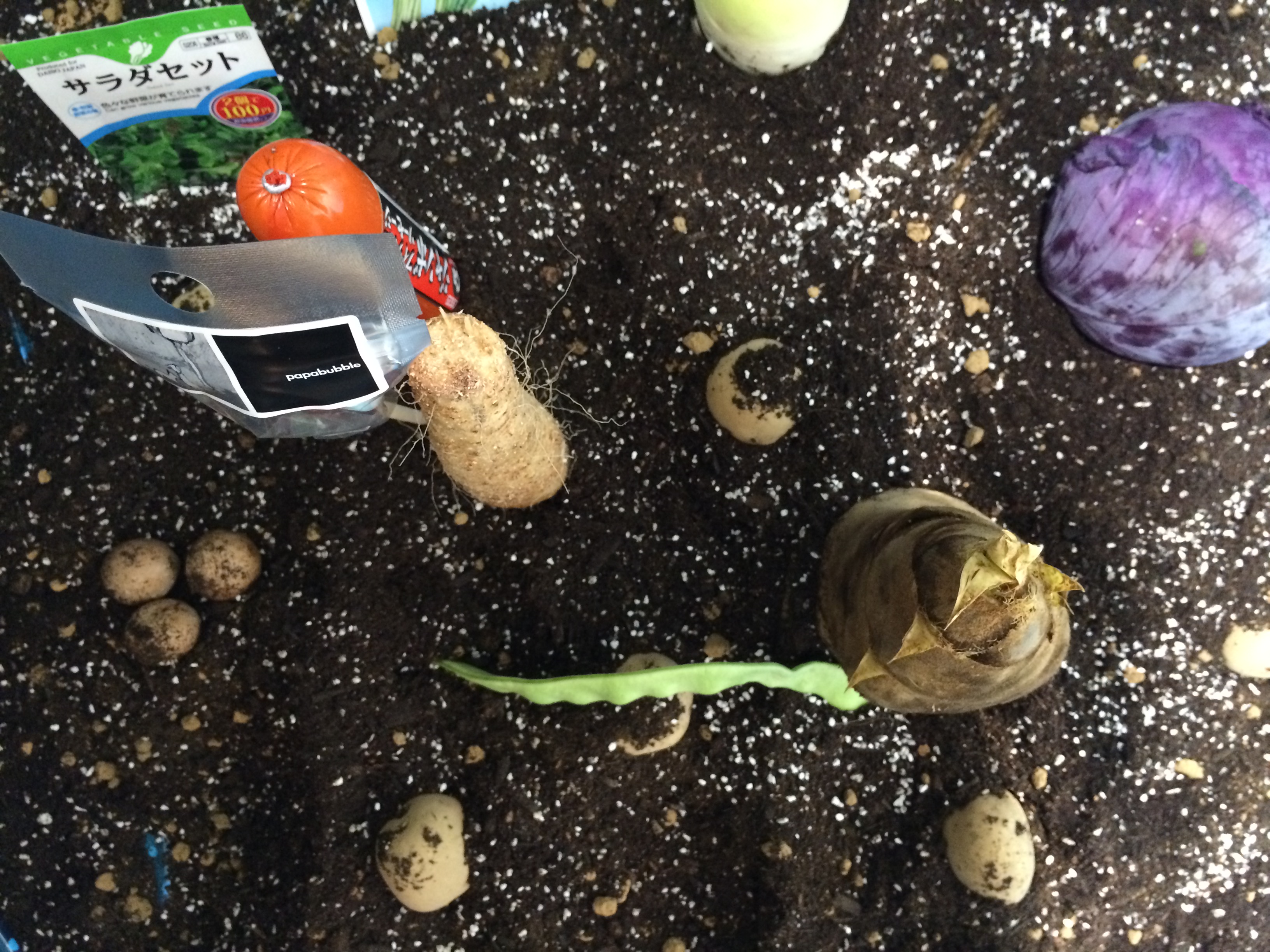 「勉強カフェ」が生まれた２つの原体験