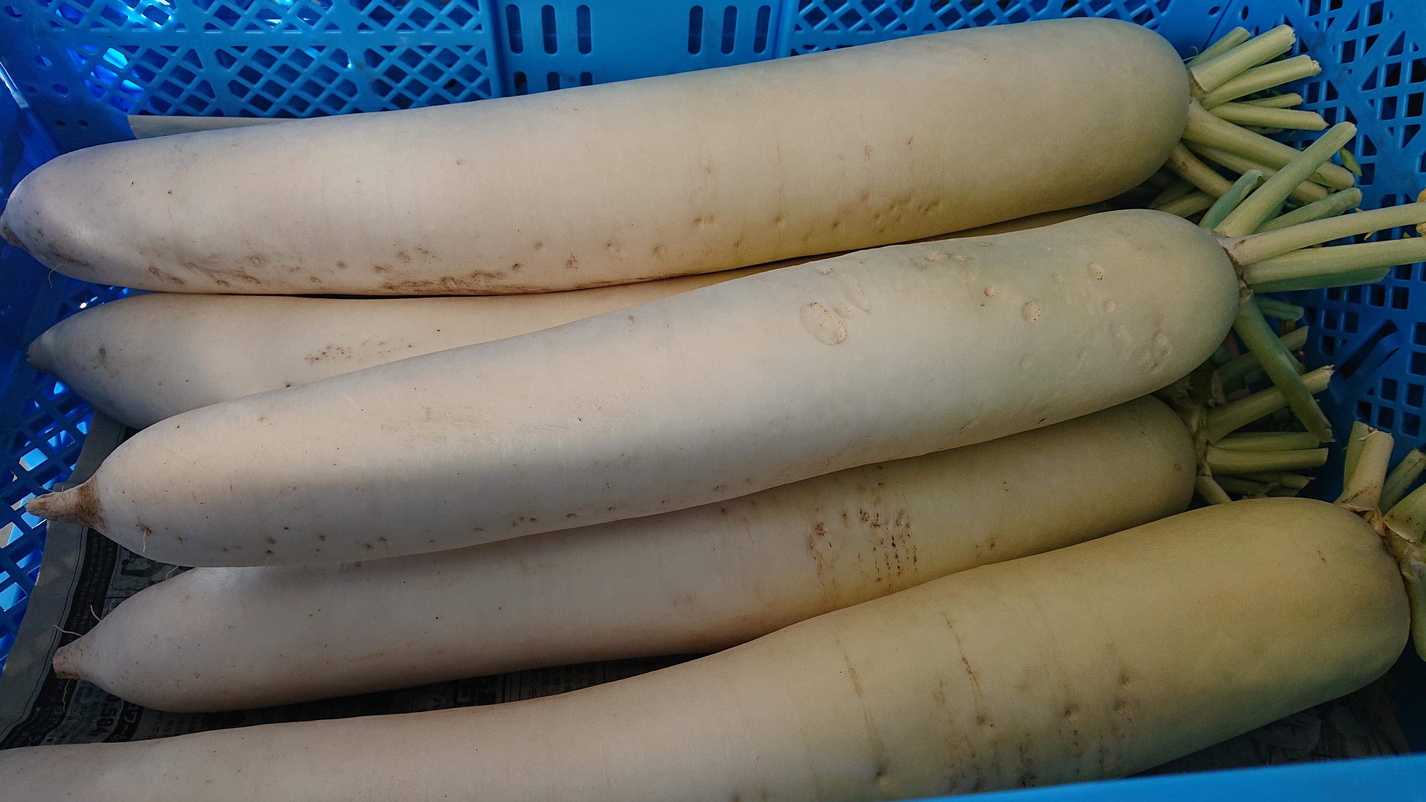 「旬」の野菜を届けます！！