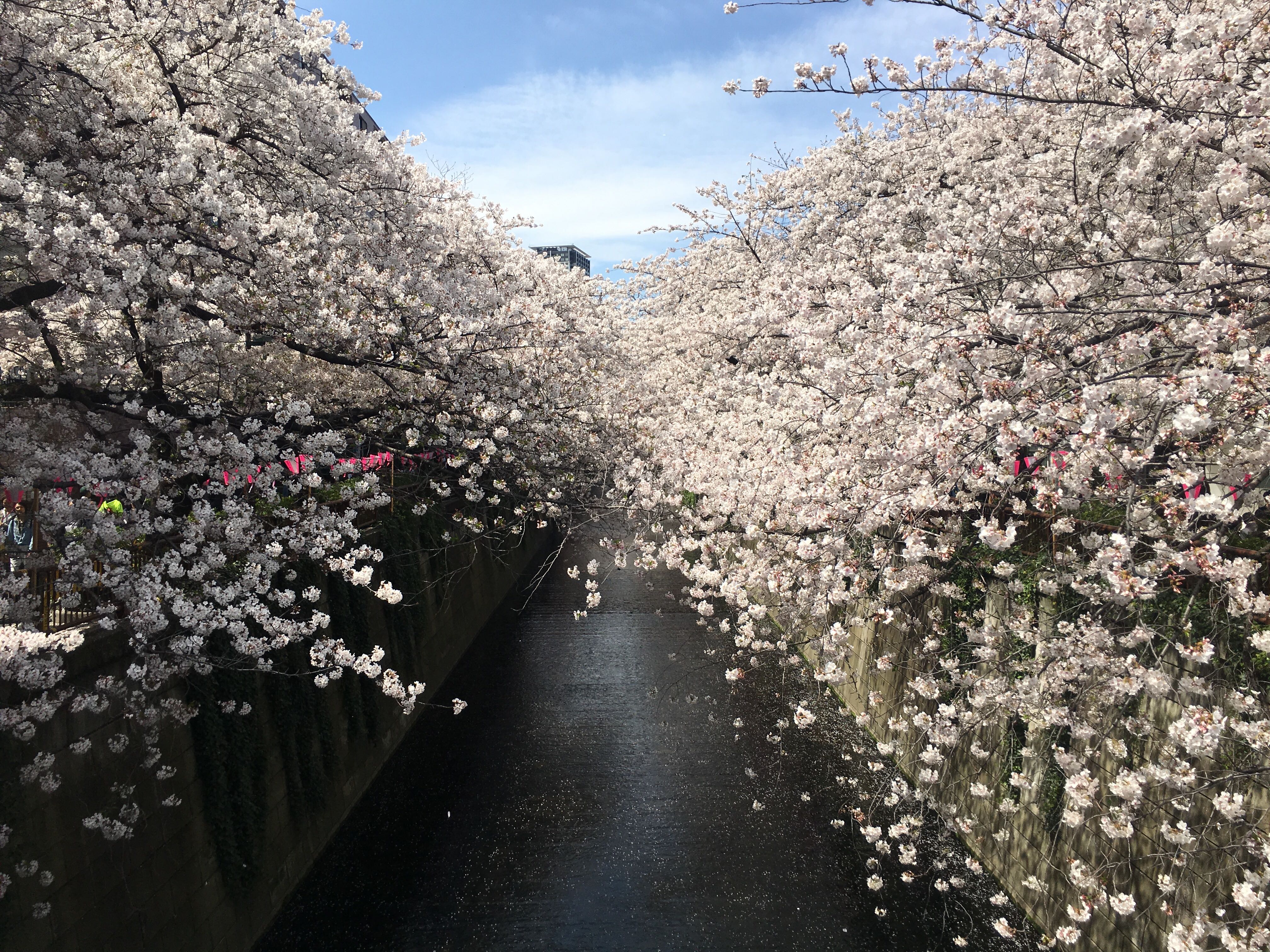 築いてきたものが一瞬でくずれていく、お金のために働く人生って何だろう？