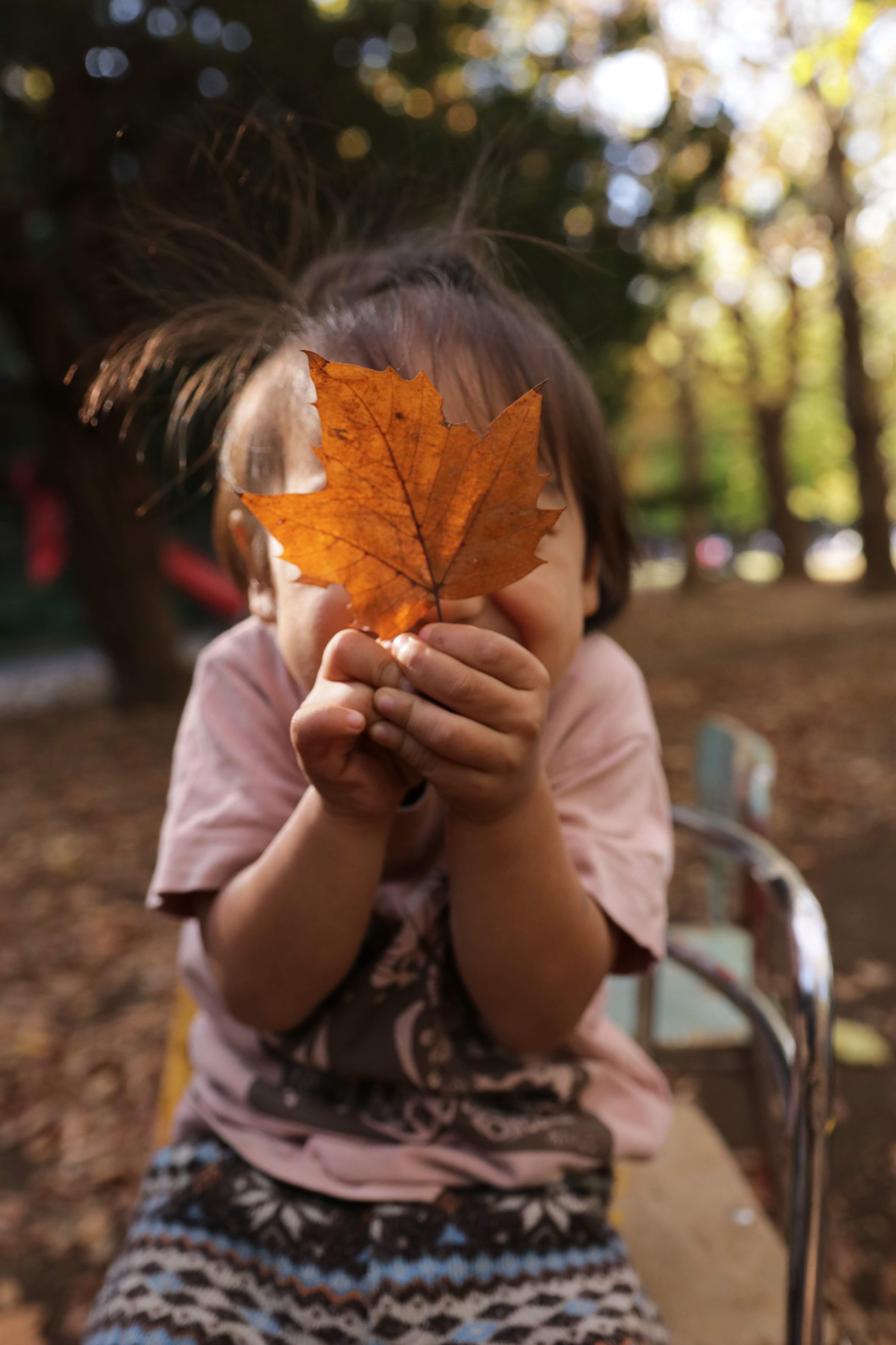大人を動かすのは、こどもたち