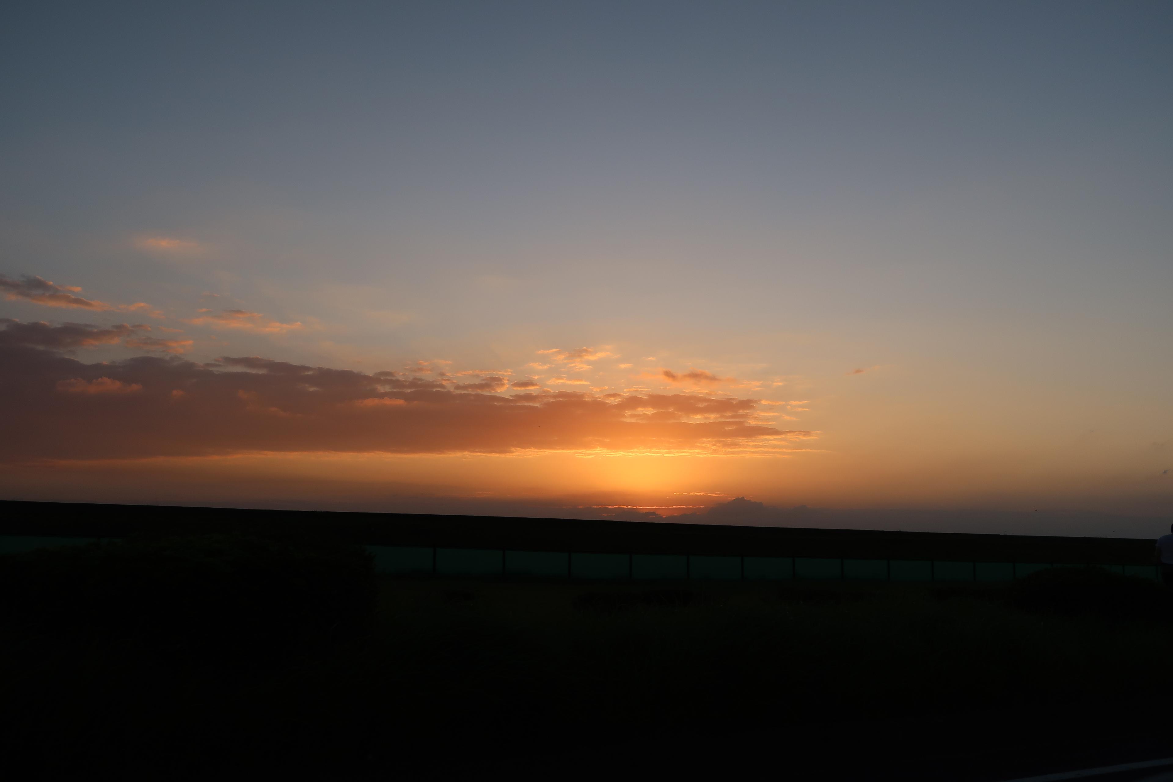 WISE OWL HOSTELS SHIBUYA × HAPPY NEW YEAR!