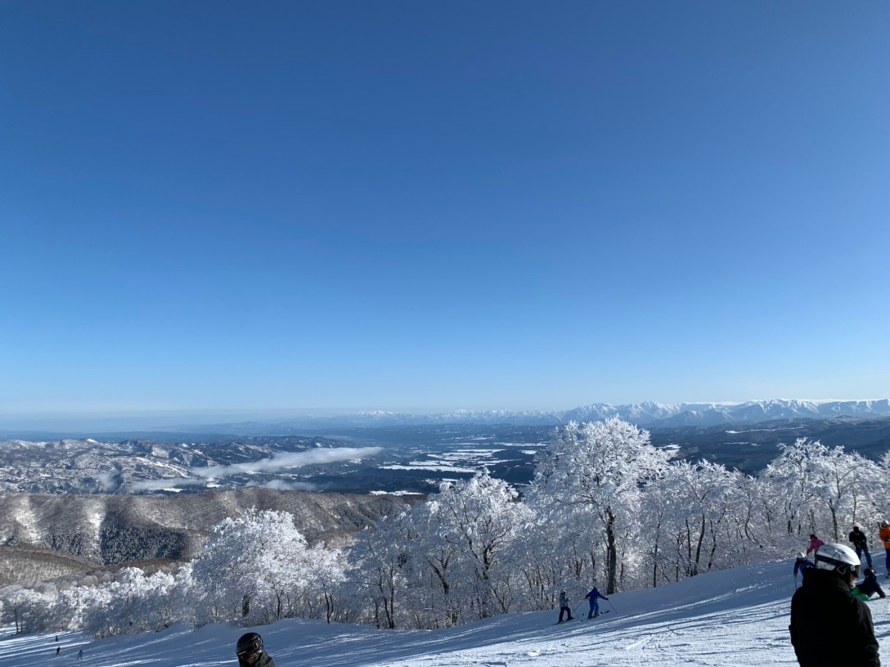 雪を求めて…⛄社員旅行♪