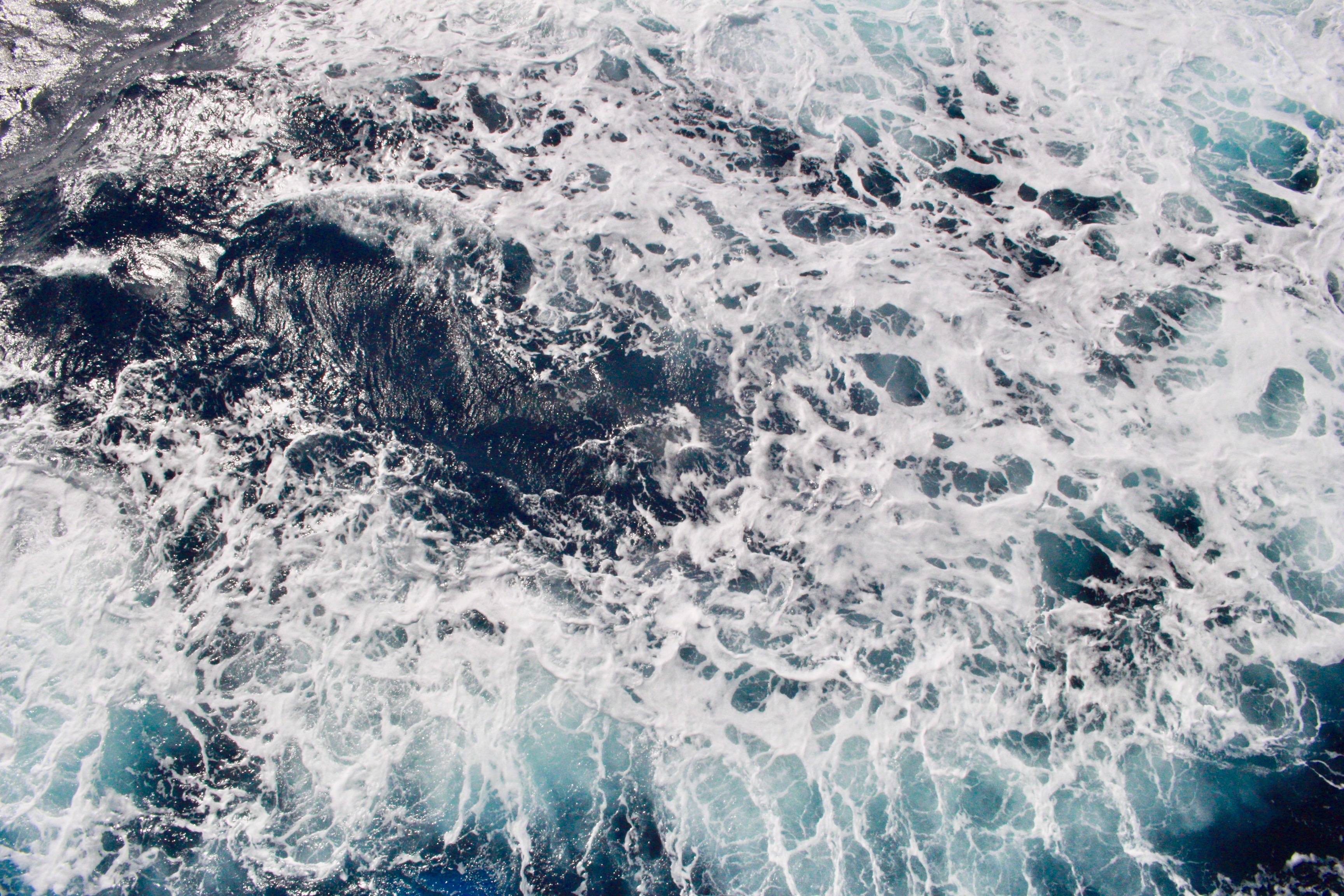 【新卒で突然パニック障害を患ったぼく。】