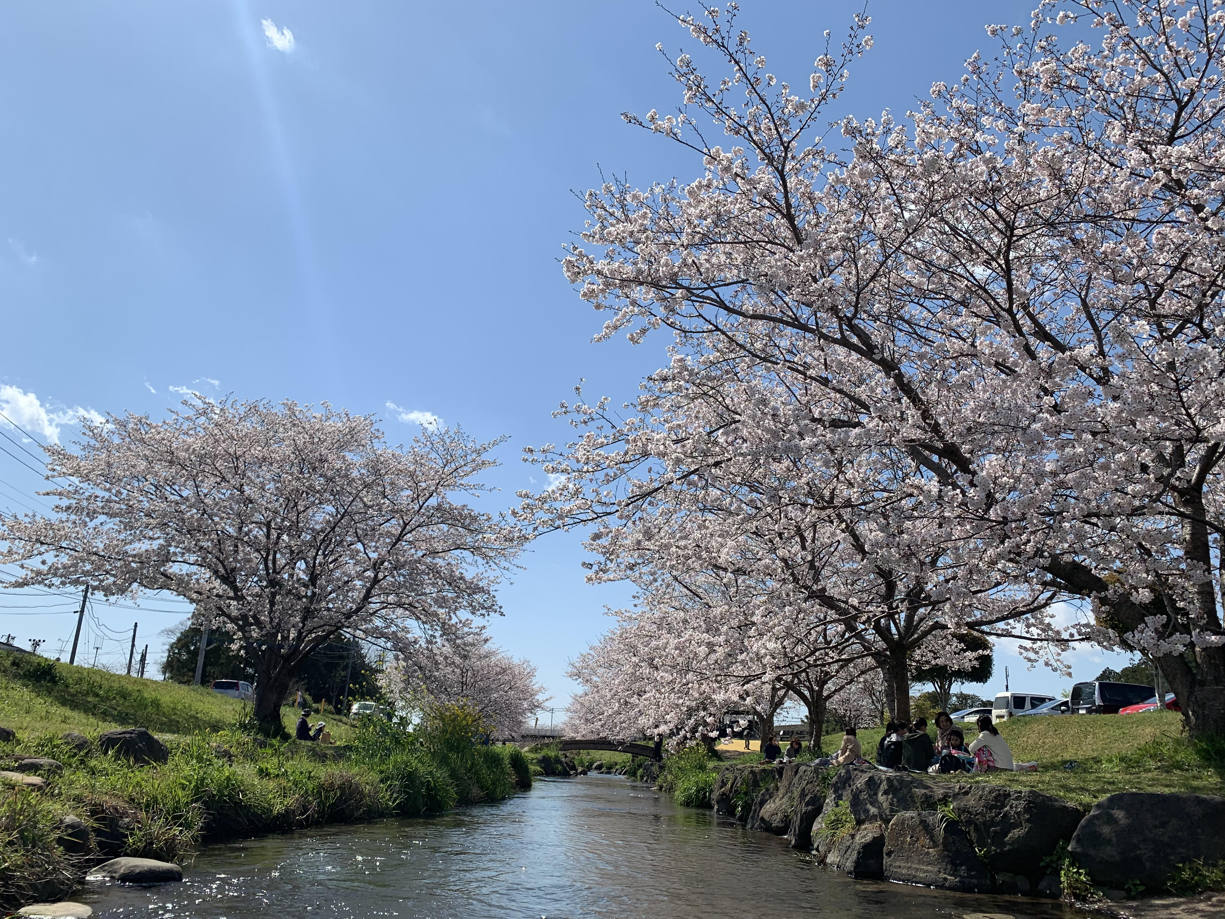 「やりたいことがわからない」私が「活躍したい場所」に出会うまで