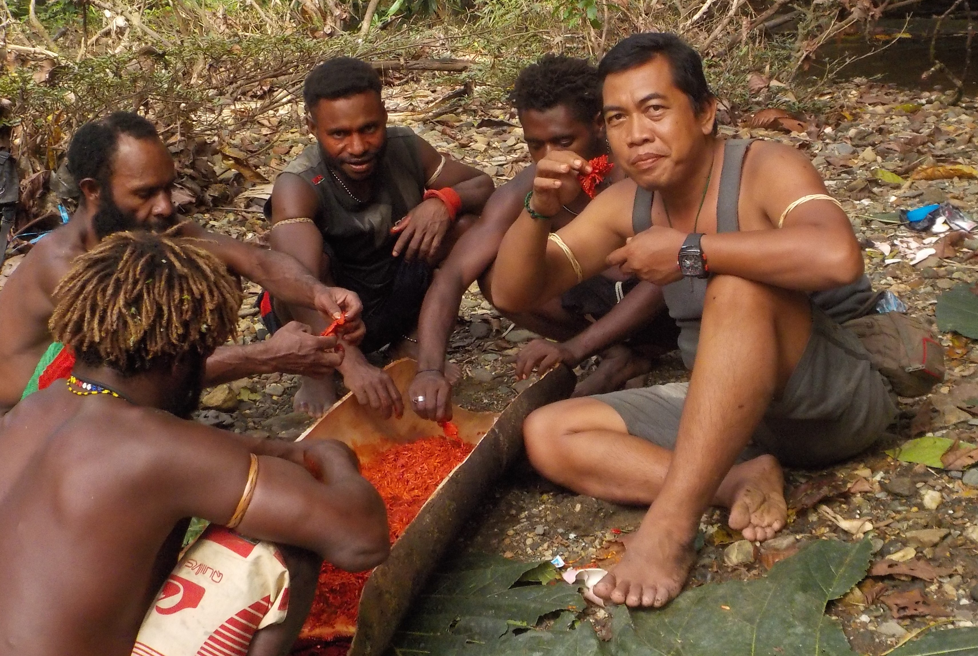 パプアを訪れましょう