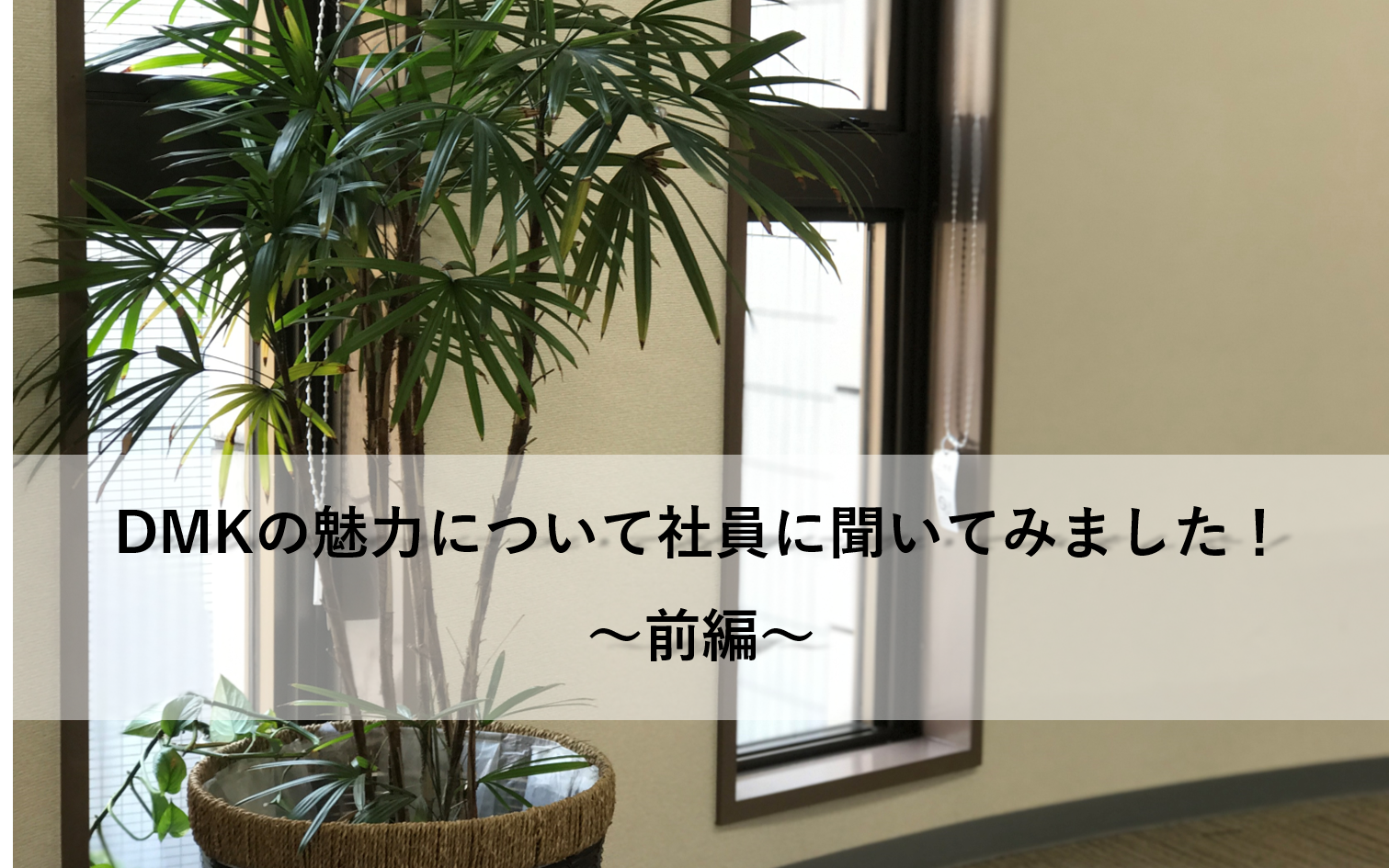 就活生必見!!【インタビューからわかるDMKの魅力①～前編～】