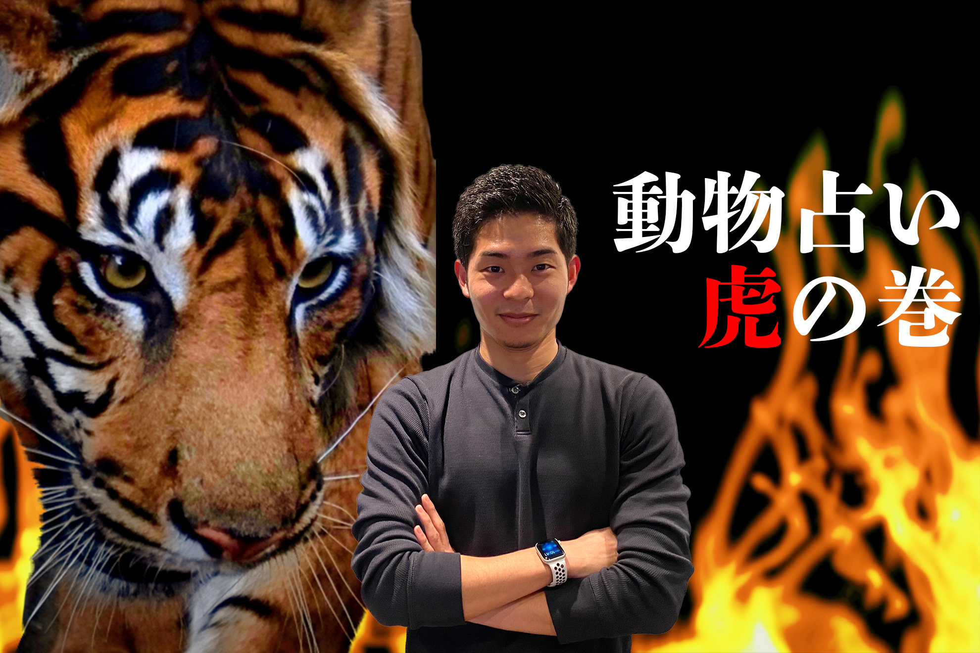 動物占いは採用に使えるのか【社員のへんな趣味紹介#1】