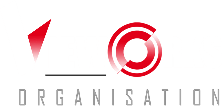 Vieworks Organisation