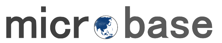 株式会社マイクロベース