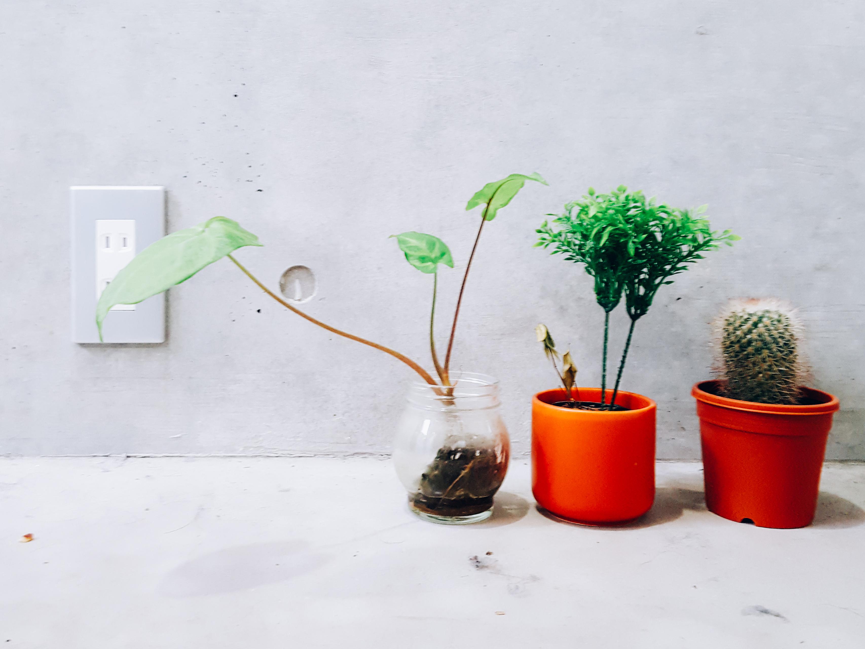 今のテレワーク制度ではなくて、新しく在宅勤務を作った理由