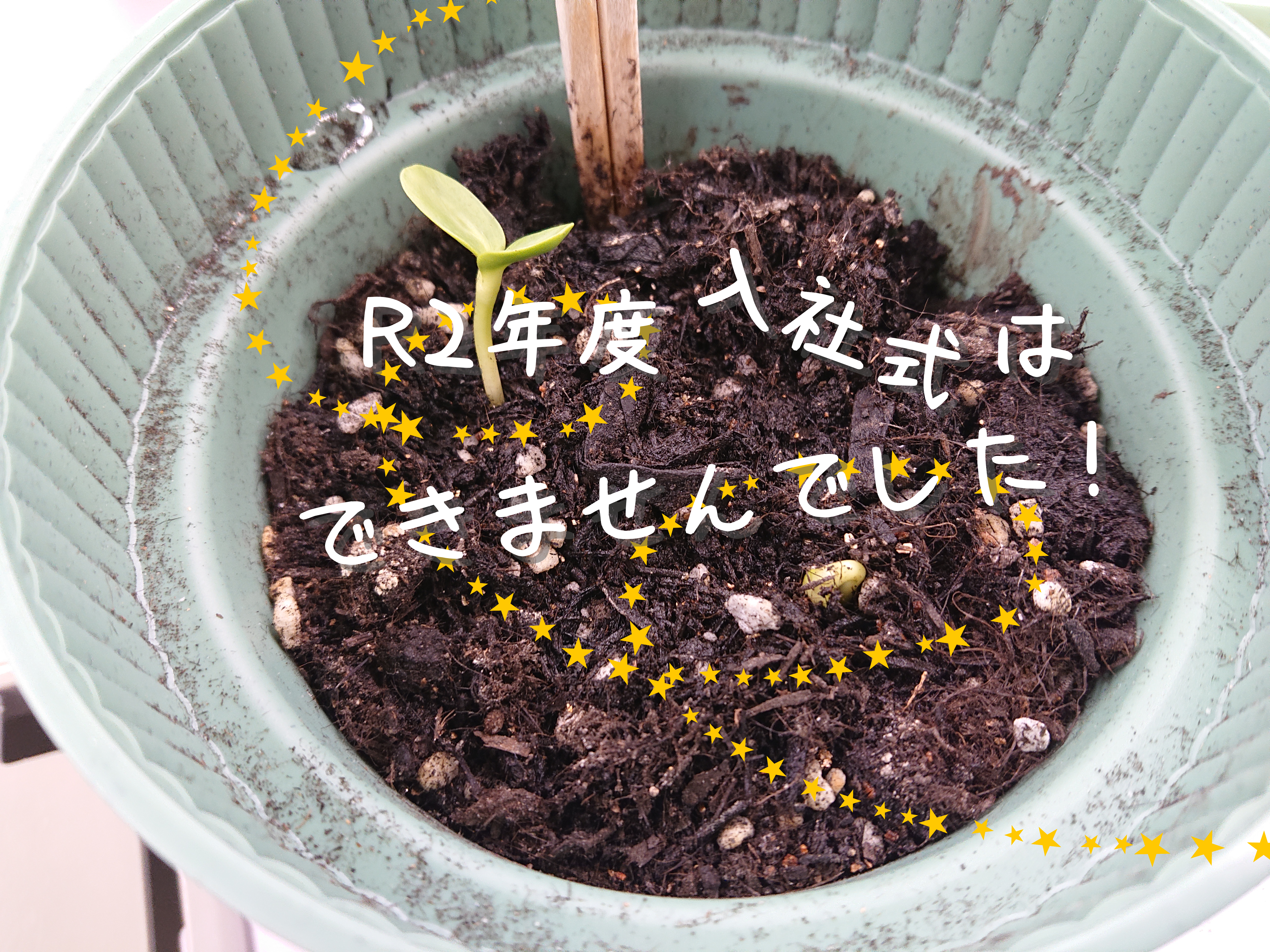 令和２年度　入社式　はできなかった！
