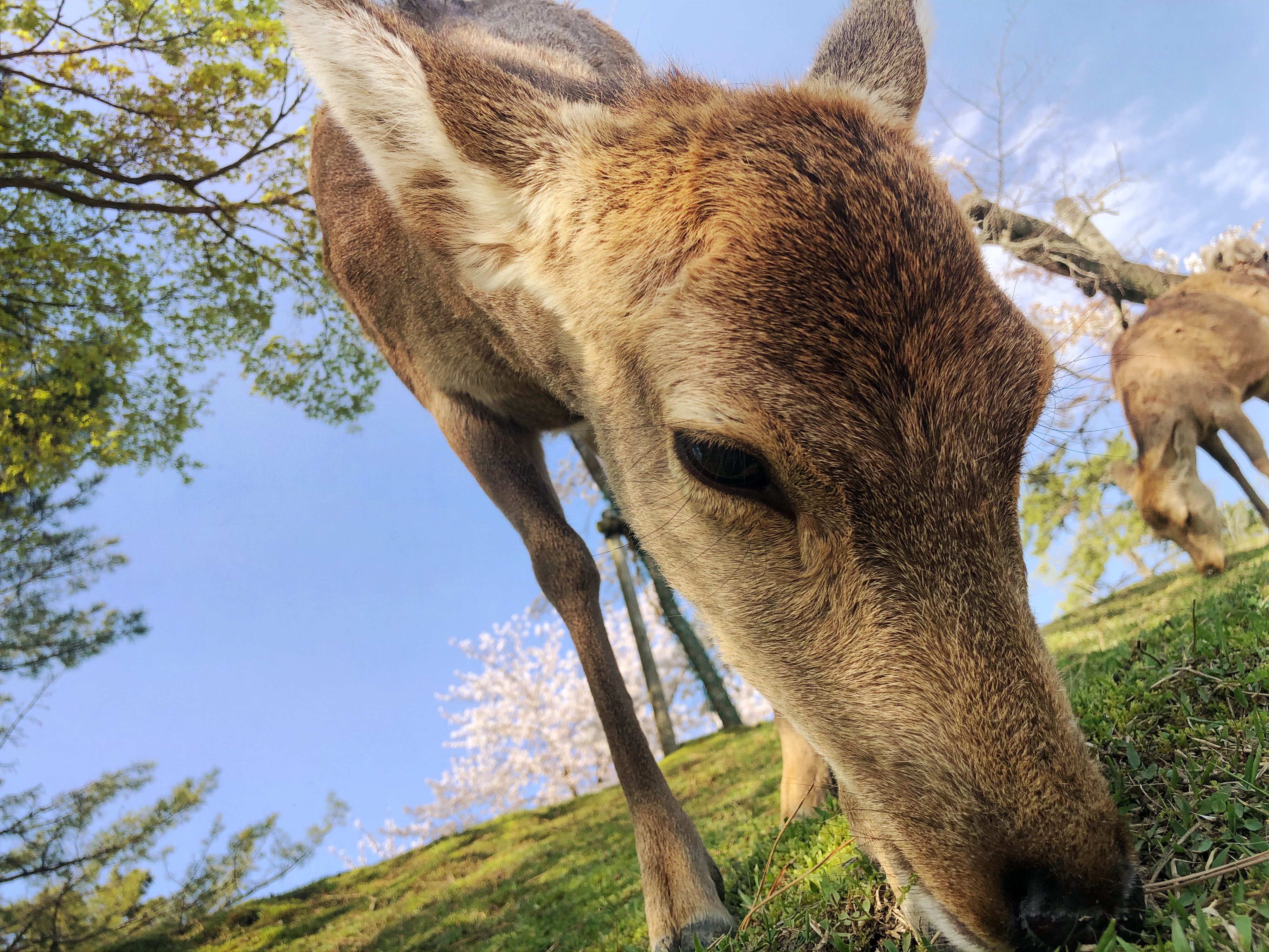 【春のきせつと共に・・・】