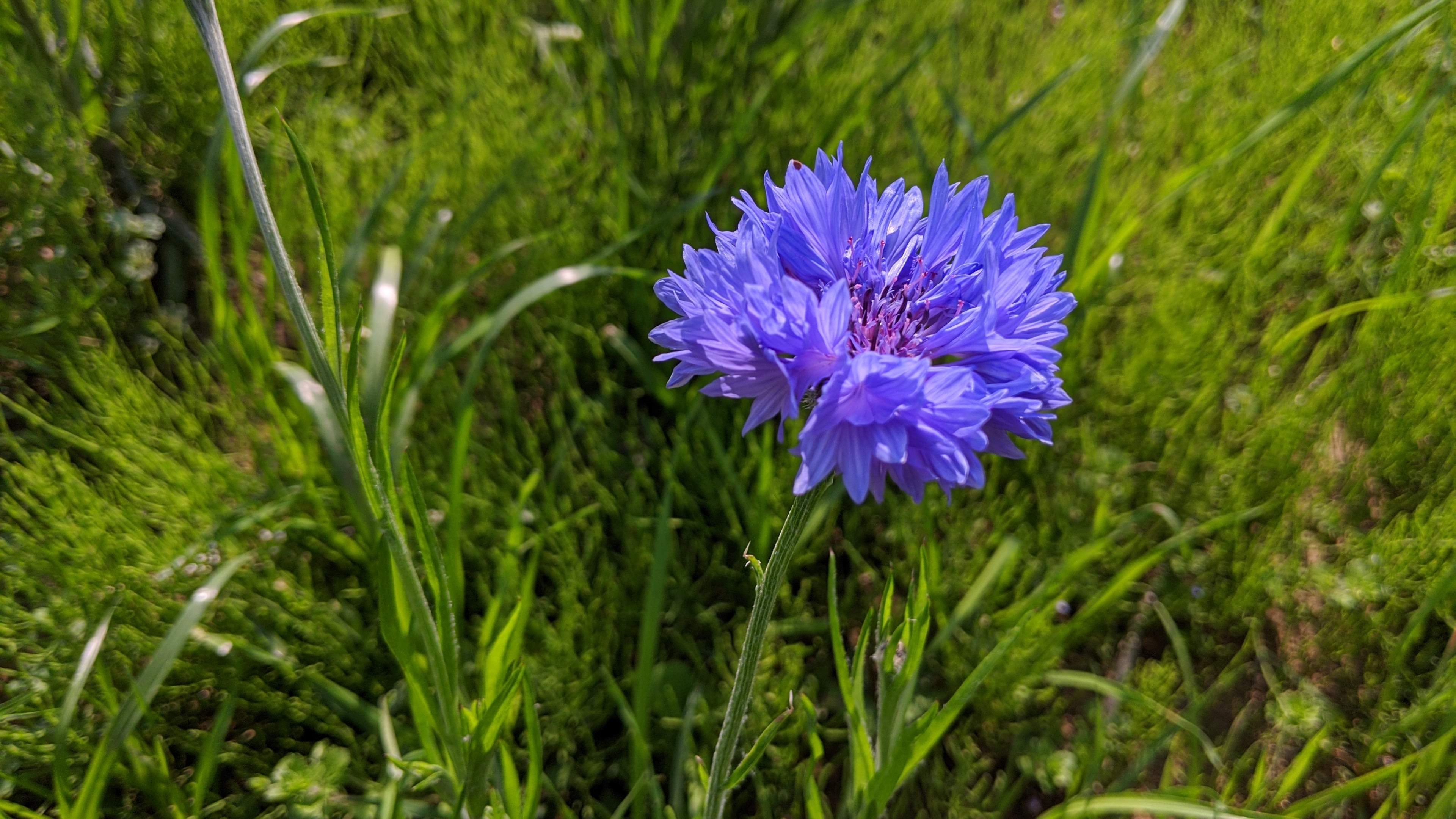 プロジェクトベースの意思決定と液体民主主義ポストコロナ社会を見据えて