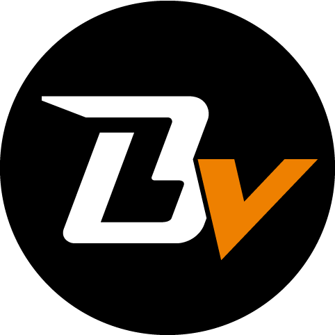 株式会社Braveridge