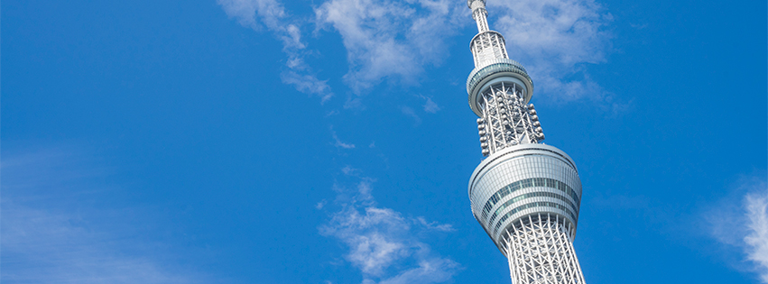 今までの経歴