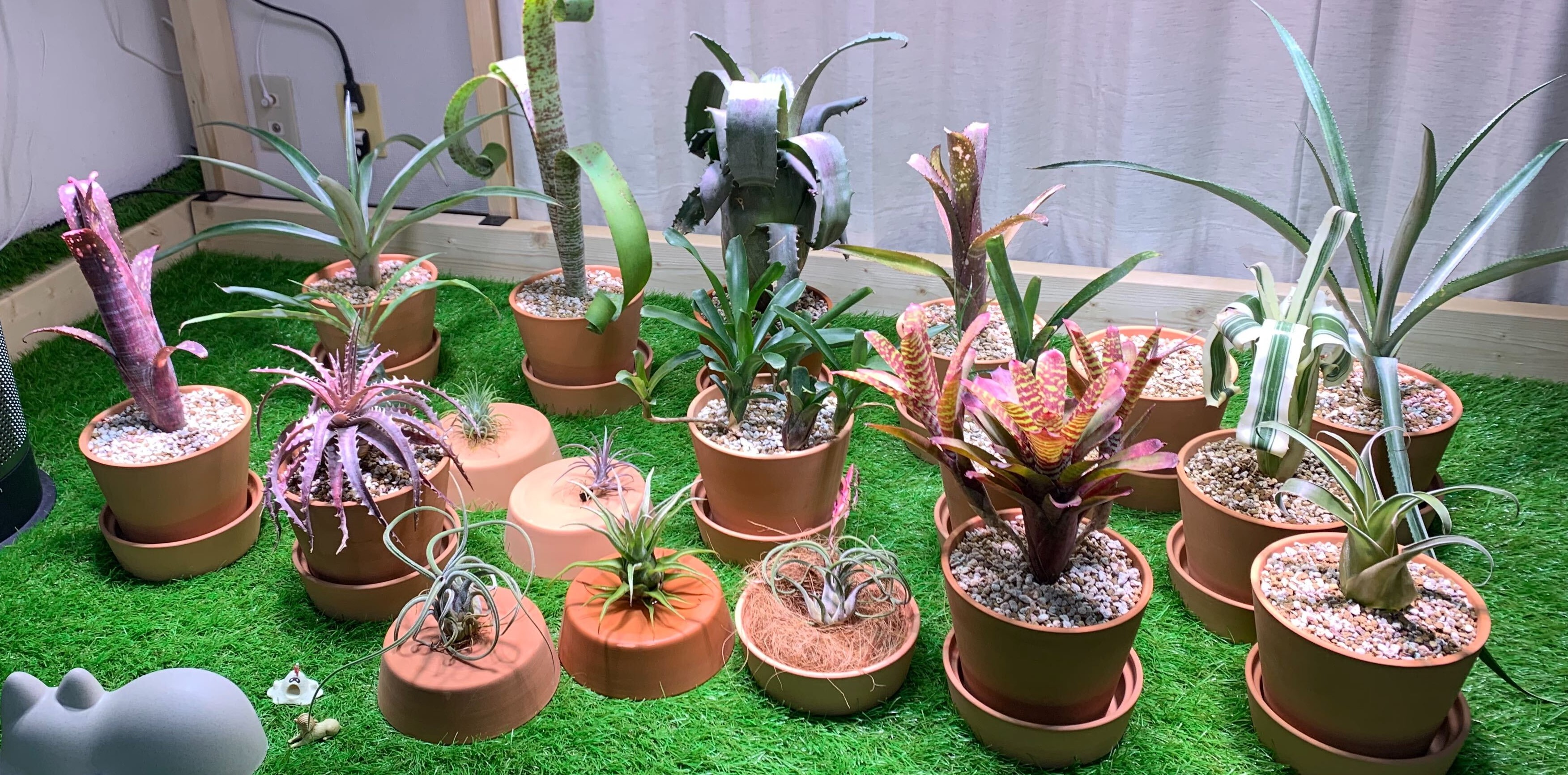 素敵＆おもしろチャンネル紹介〜第3回　botanicalチャンネル編〜