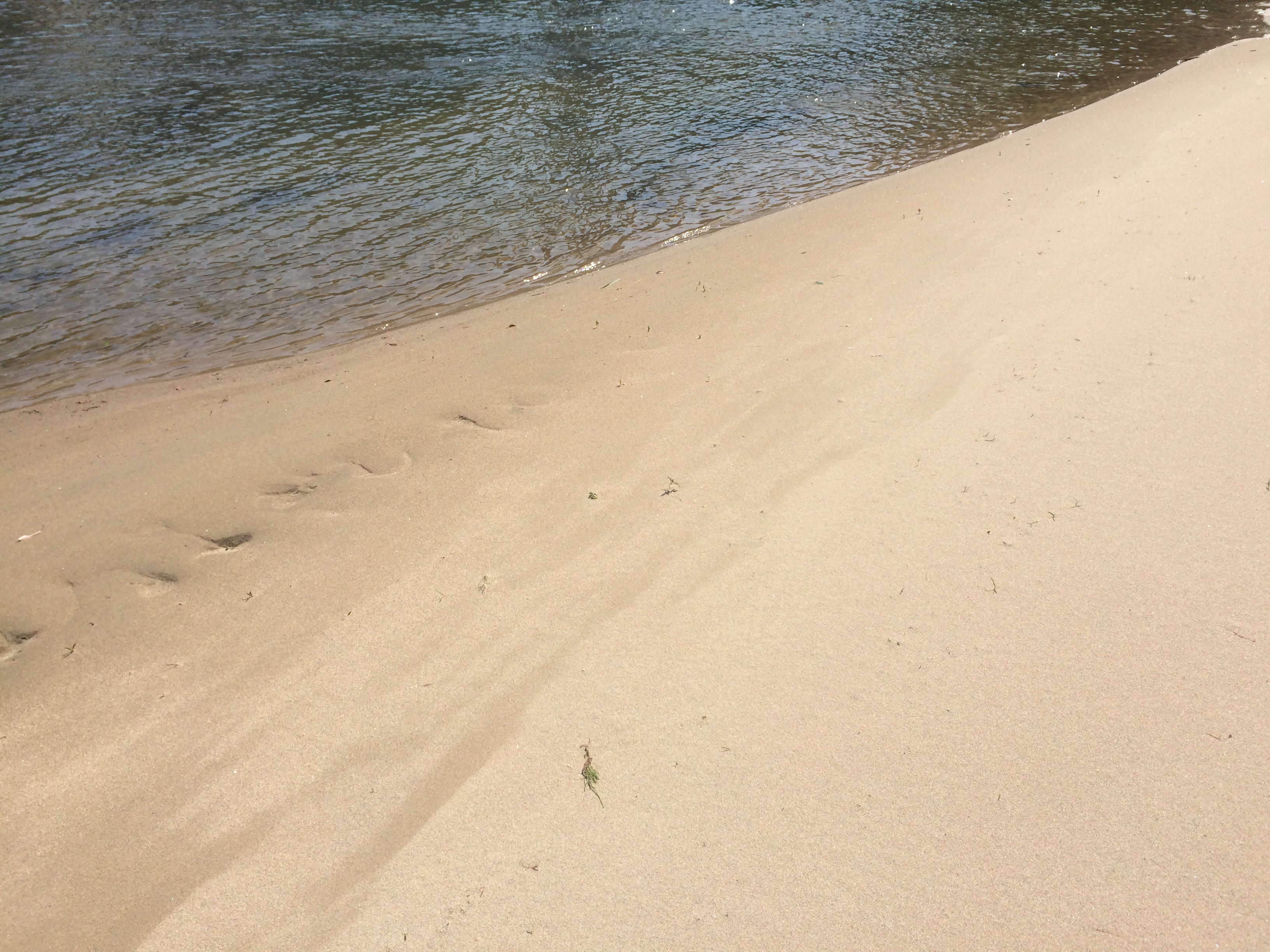 アーシングの効果