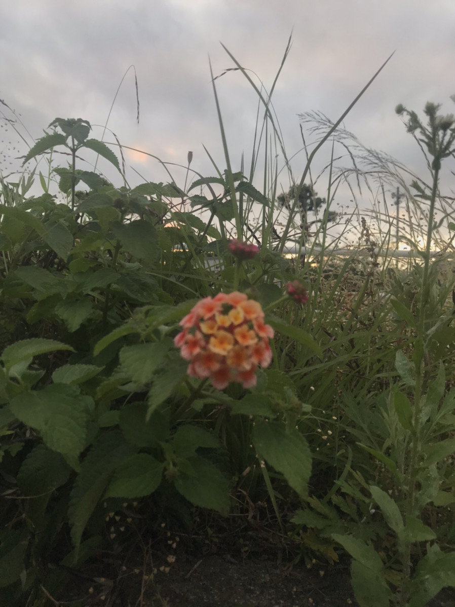 都会から大分への移住を考えているあなたへ