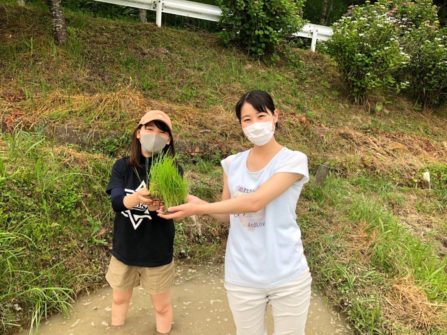 2020年度　菊川市せんがまち（千框）で田植えを行いました！
