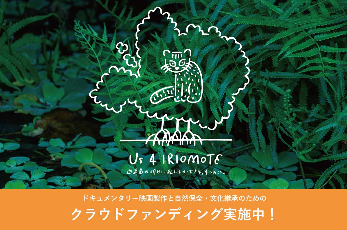 西表島を守る活動をはじめて1年が経過しました。