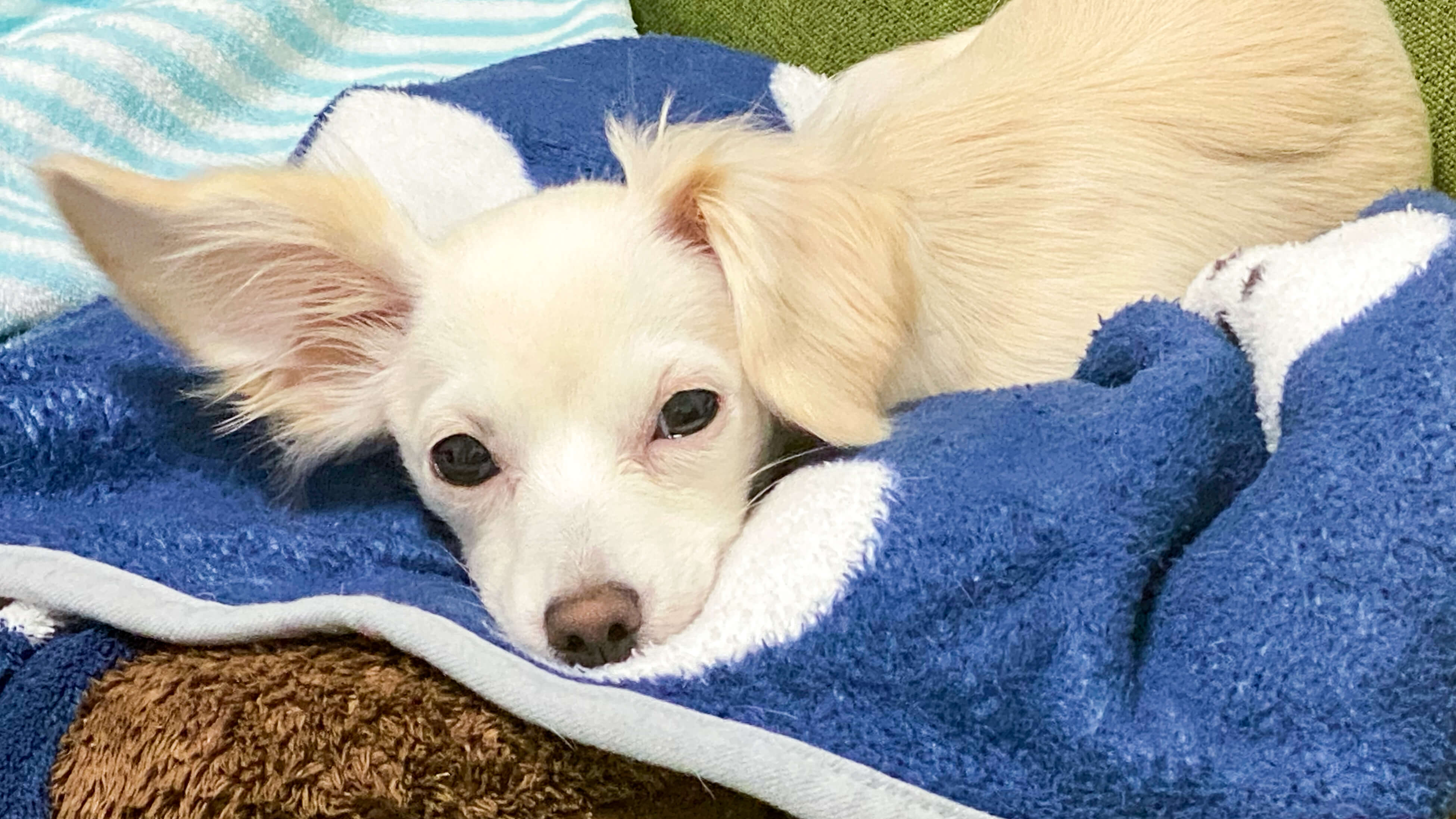 会社と共に成長する新社会人