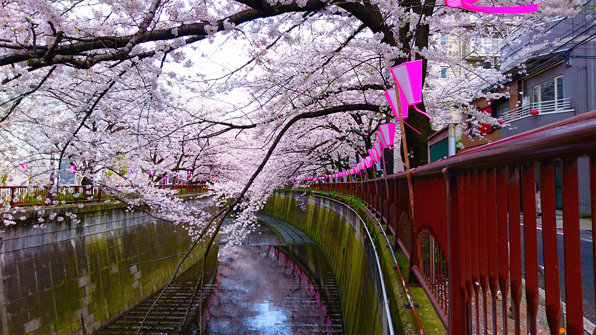 【個人的なこと】ここ数日の出来事