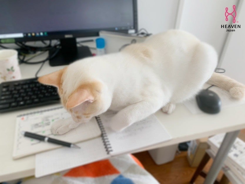 ＨＥＡＶＥＮ Ｊａｐａｎのテレワーク事情