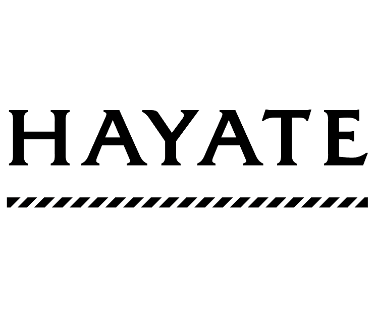 ハヤテインベストメント株式会社
