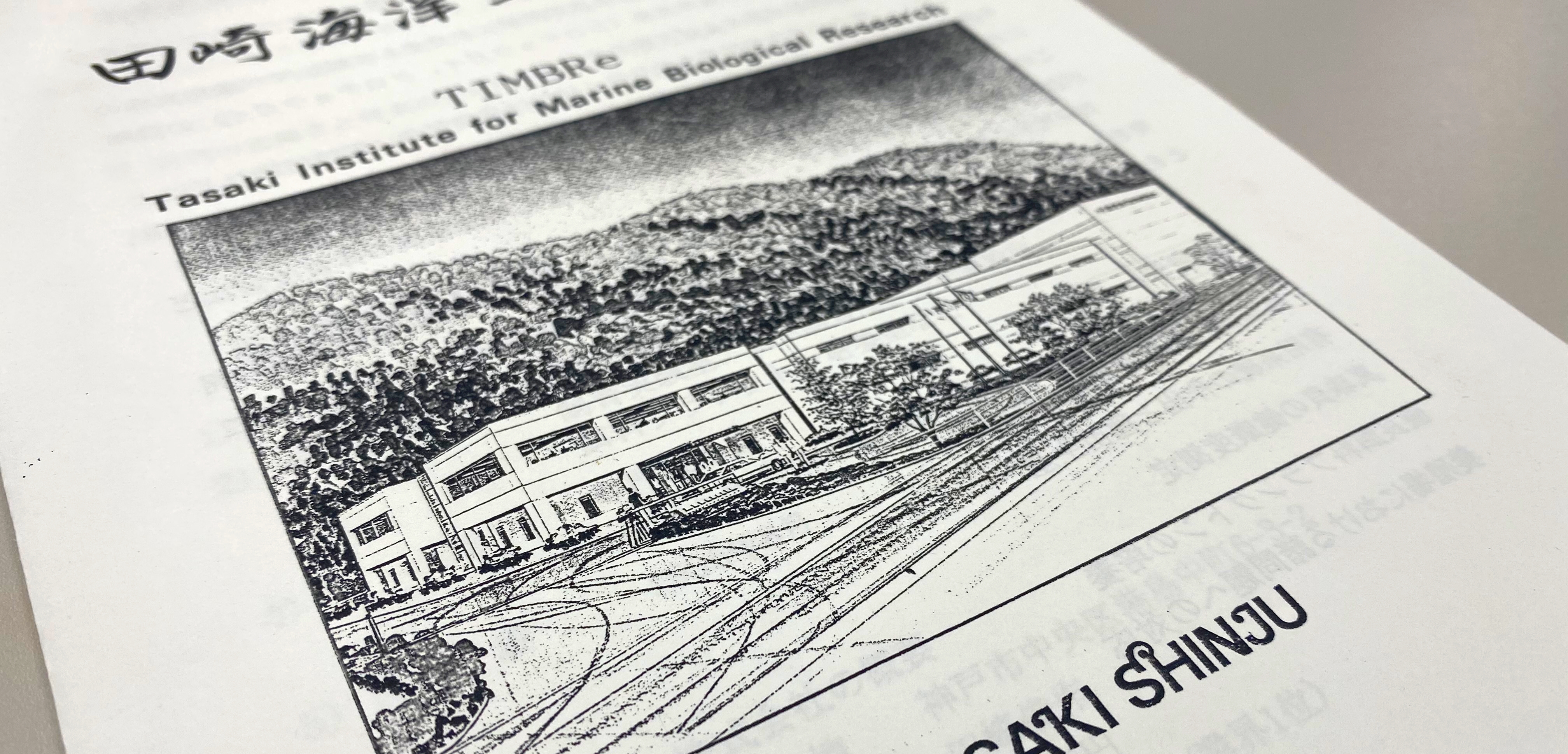 創業ストーリー　～今に至るまでのお話～