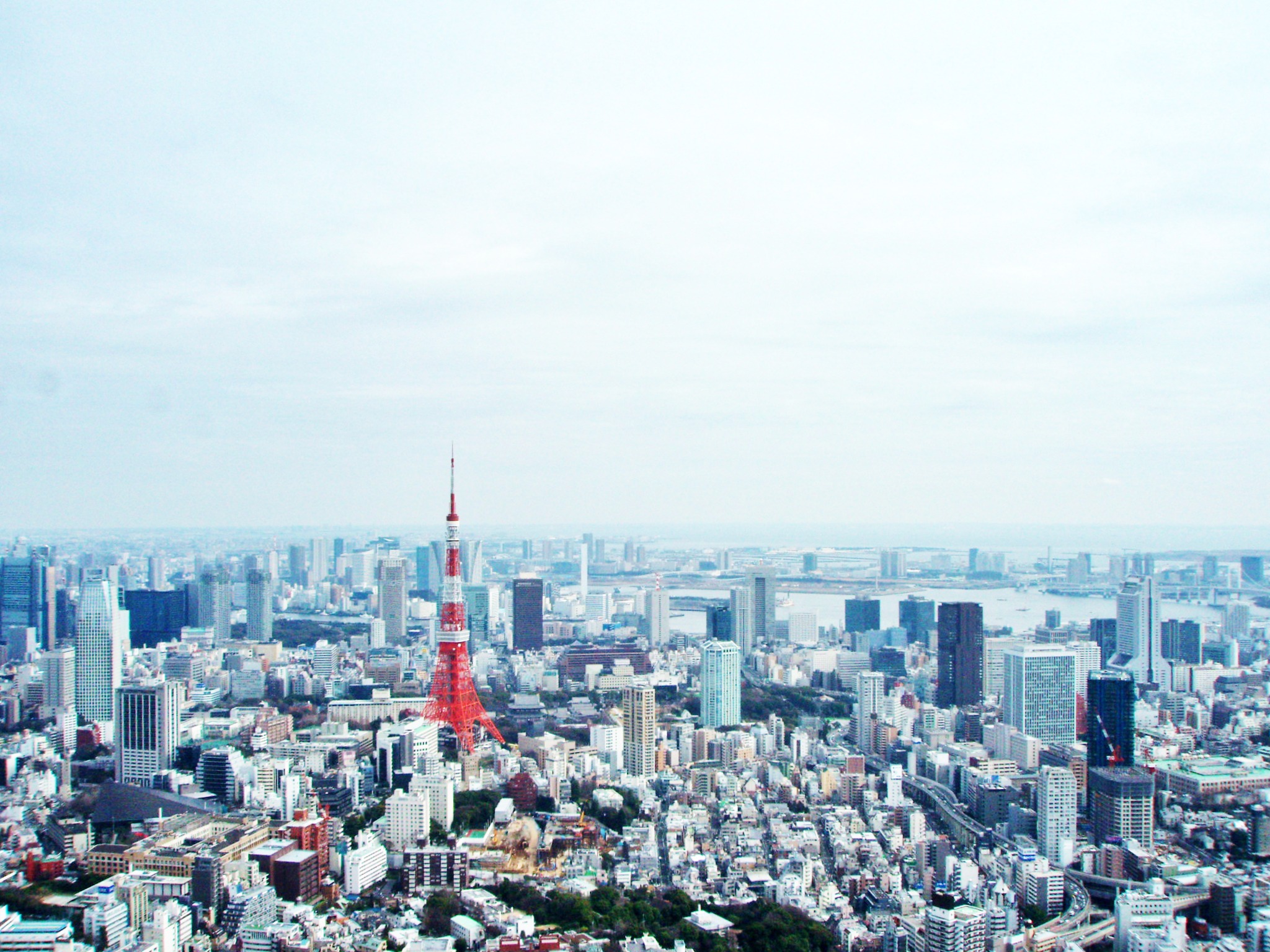 プロになったら自由に生きればいい。株式会社スーツは常に最高に面白い仕事を用意します。