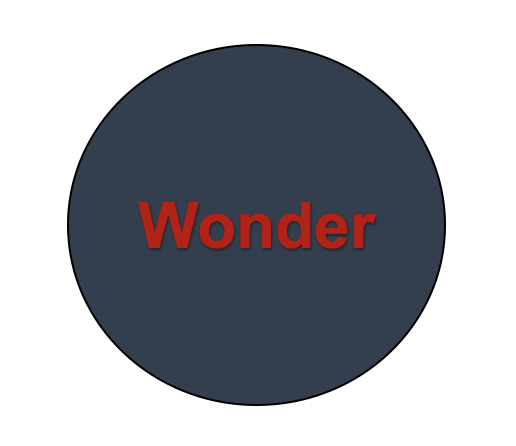 Wonder株式会社
