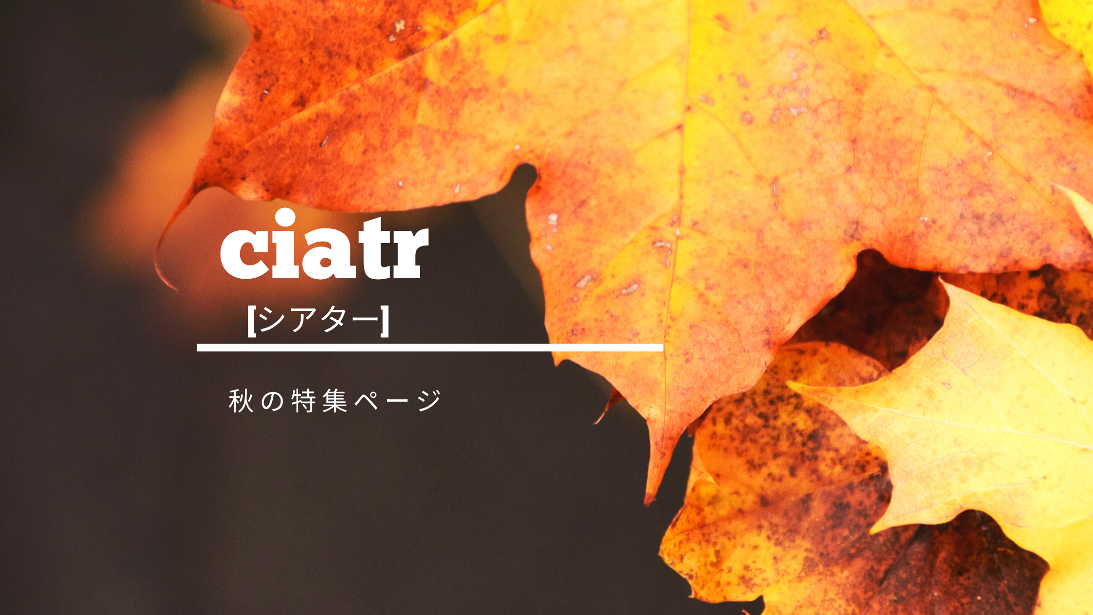 TOPページ入れ替え！ciatr[シアター]秋の特集記事を紹介します