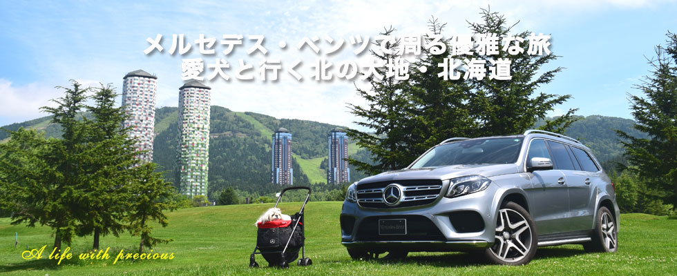 株式会社トラベルウィズドッグ